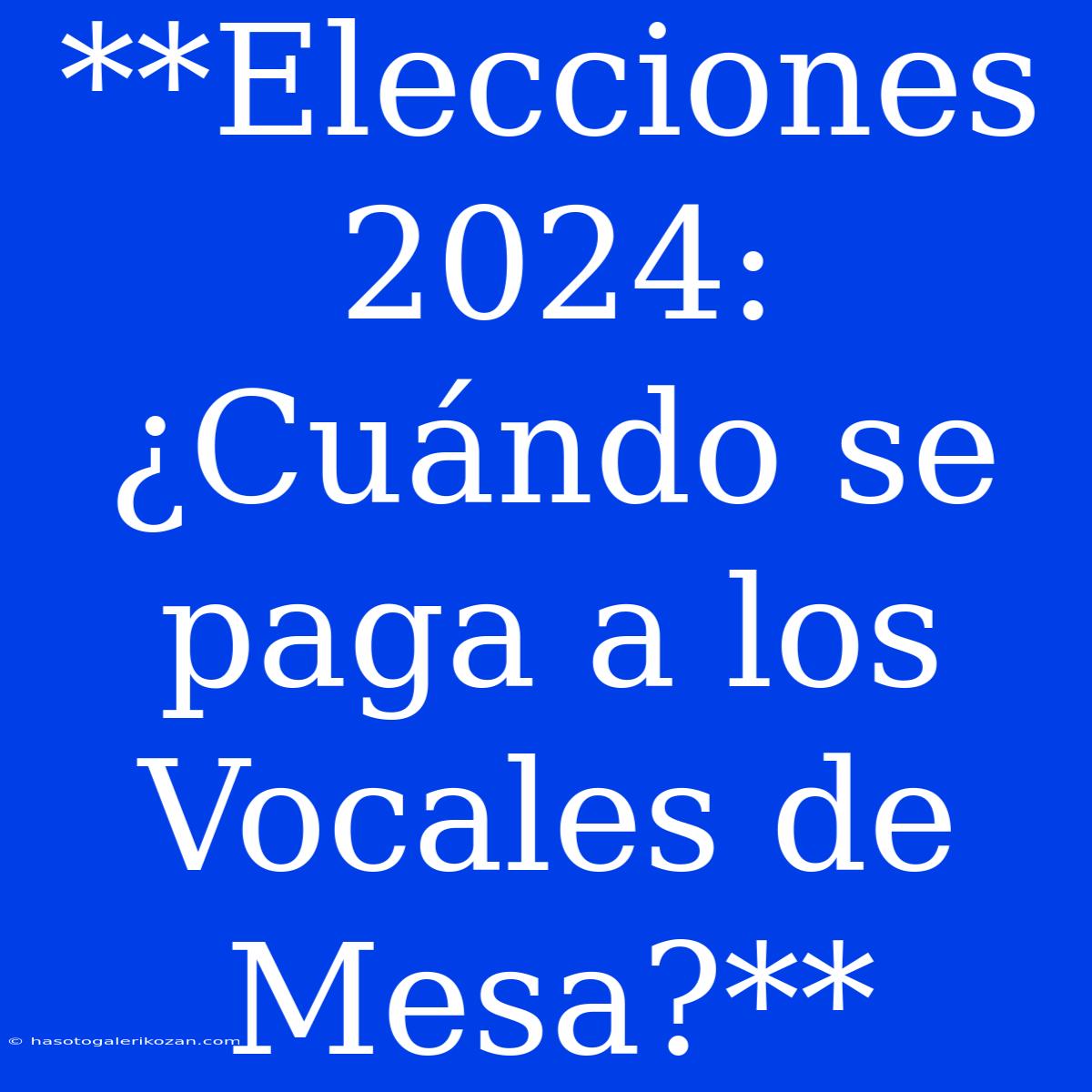 **Elecciones 2024: ¿Cuándo Se Paga A Los Vocales De Mesa?**