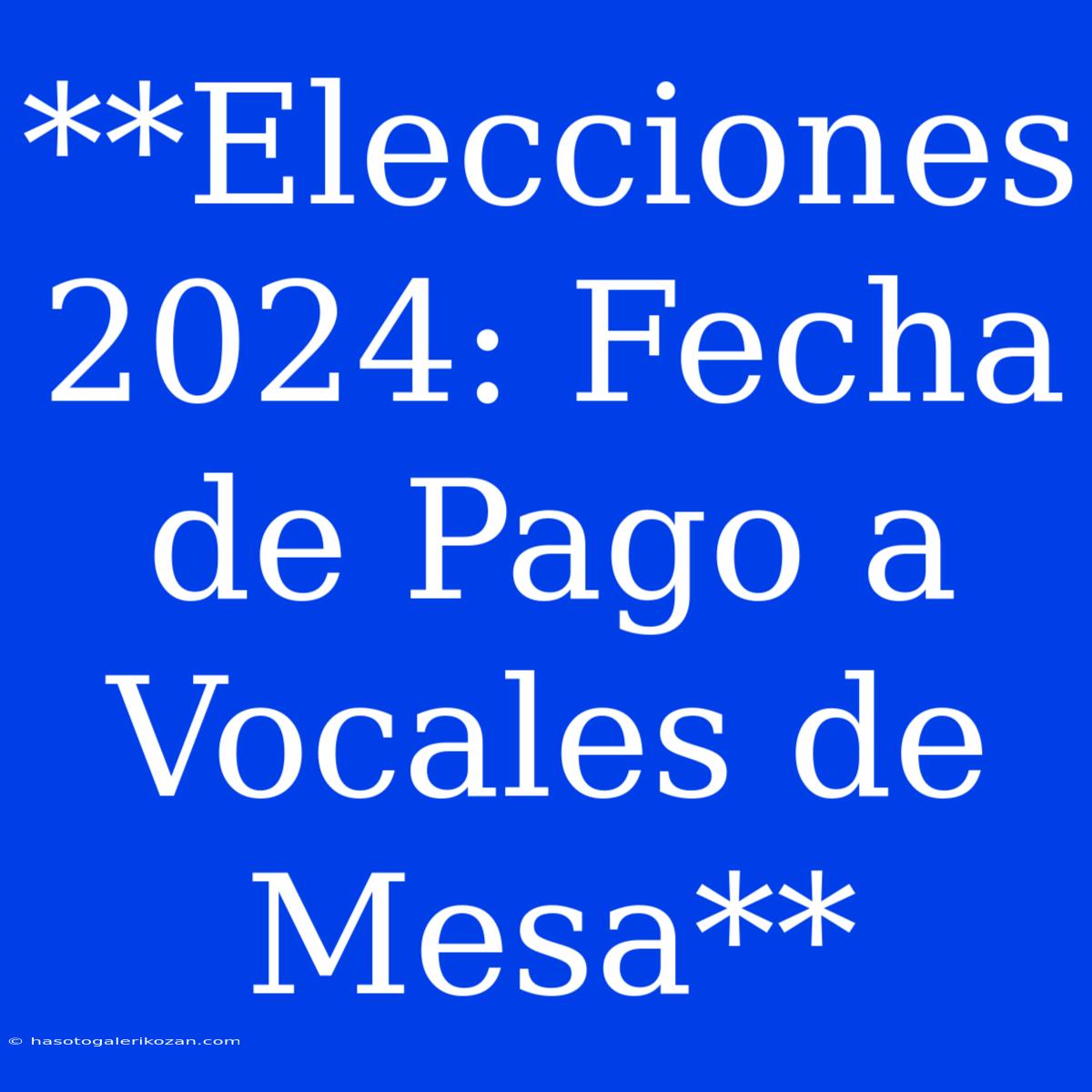 **Elecciones 2024: Fecha De Pago A Vocales De Mesa**