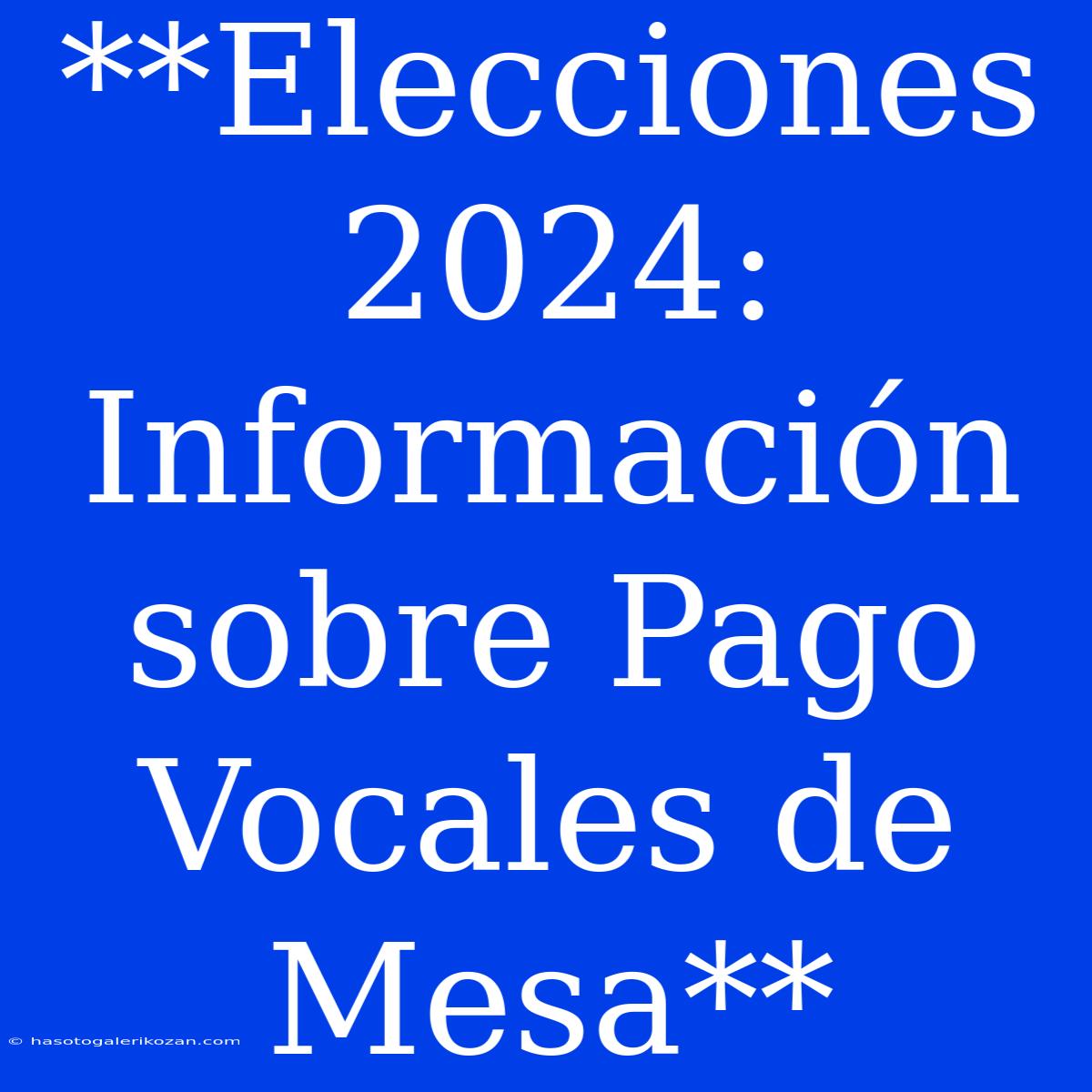 **Elecciones 2024: Información Sobre Pago Vocales De Mesa**