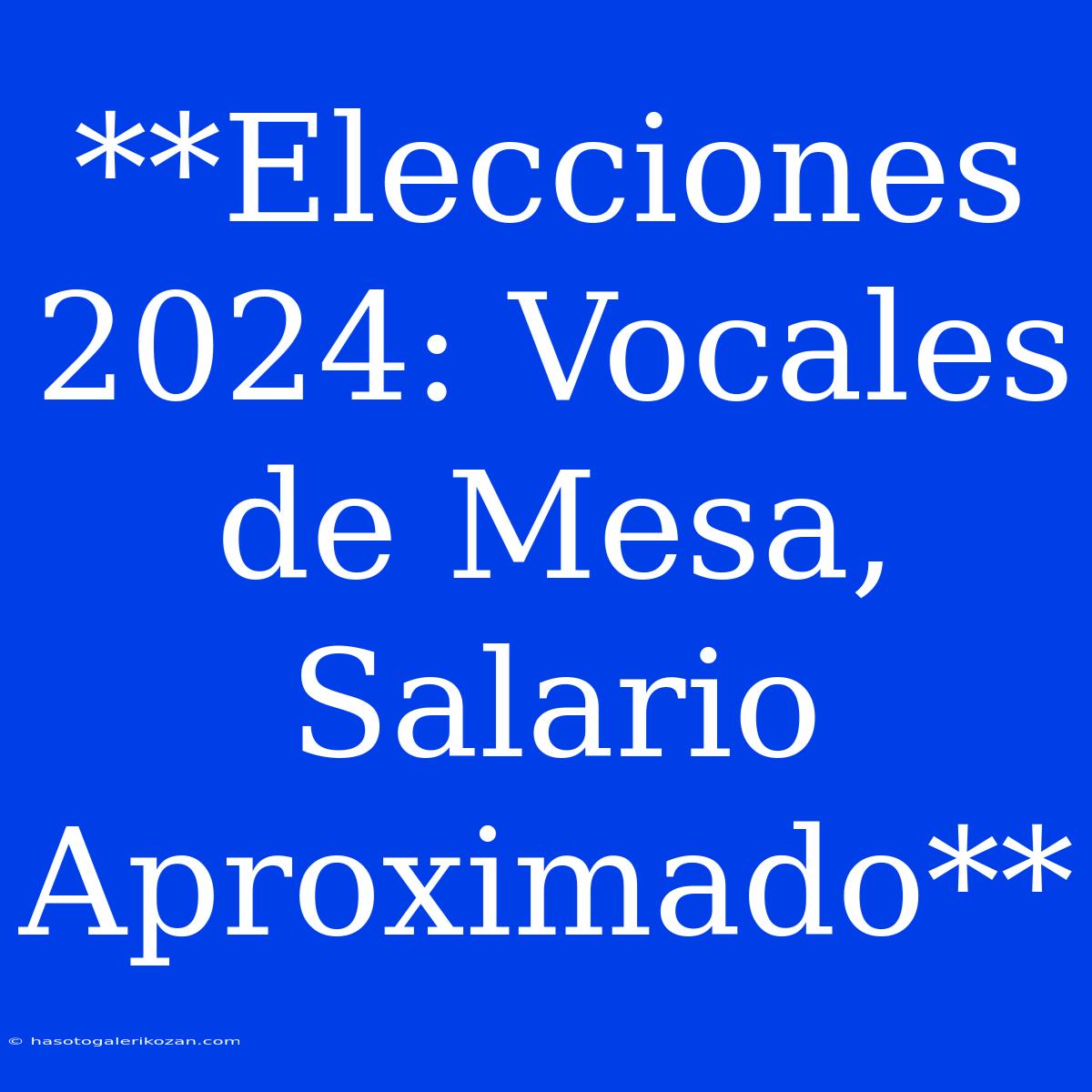 **Elecciones 2024: Vocales De Mesa, Salario Aproximado**