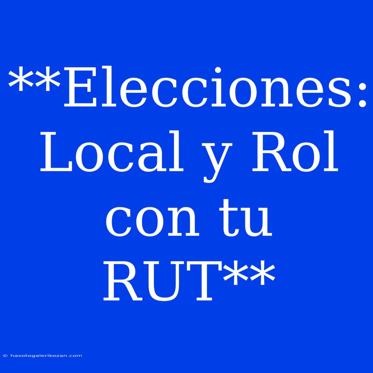 **Elecciones: Local Y Rol Con Tu RUT**