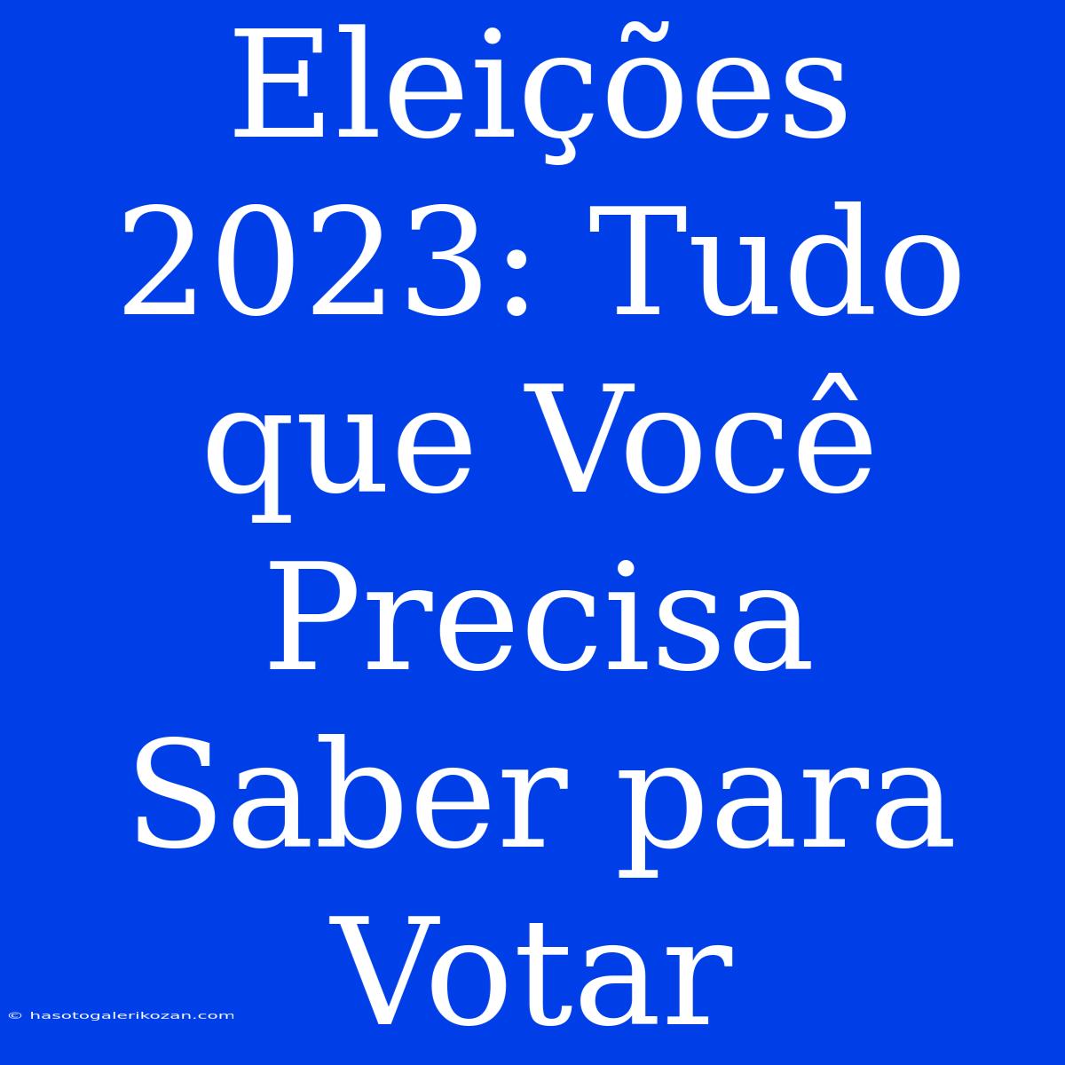 Eleições 2023: Tudo Que Você Precisa Saber Para Votar