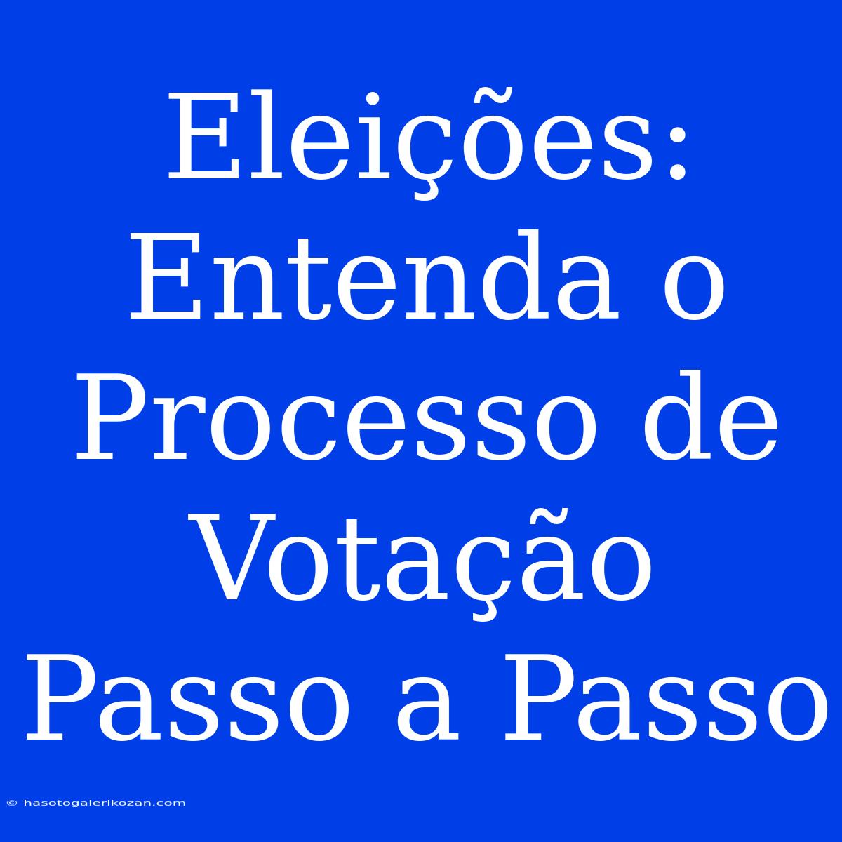 Eleições: Entenda O Processo De Votação Passo A Passo