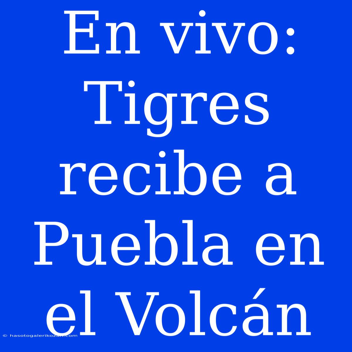 En Vivo: Tigres Recibe A Puebla En El Volcán