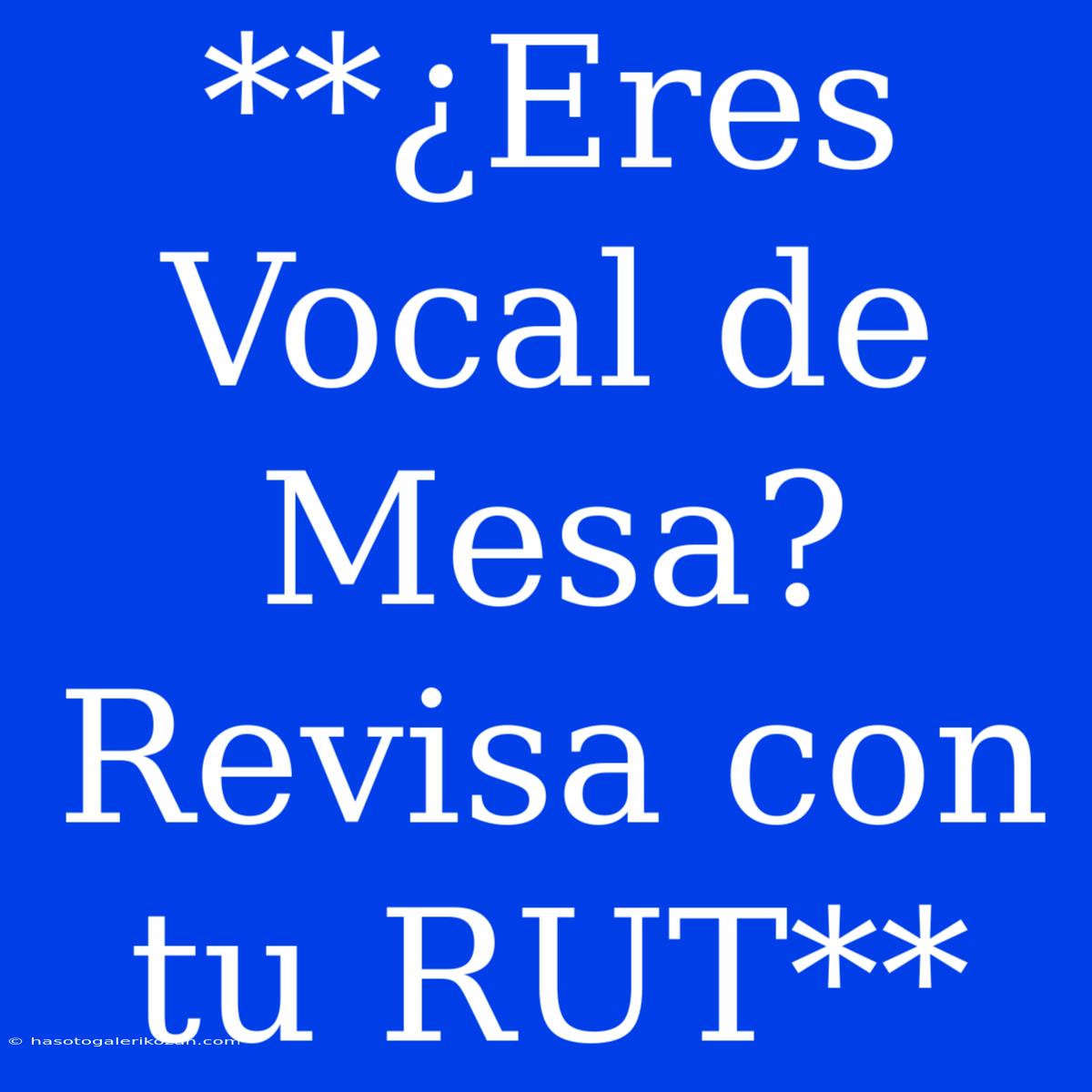 **¿Eres Vocal De Mesa? Revisa Con Tu RUT**