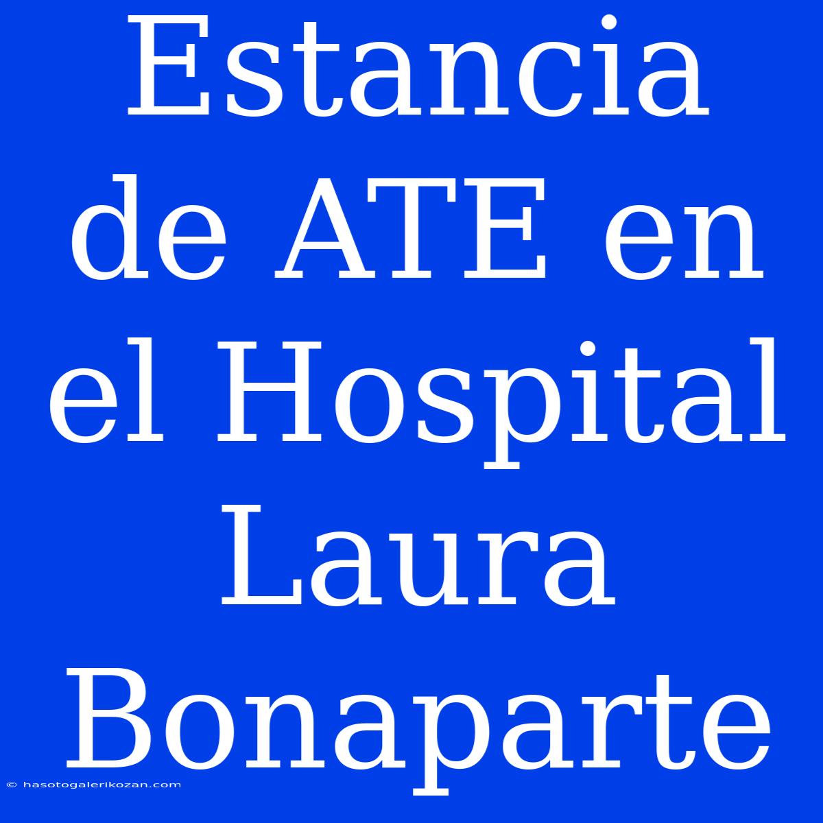 Estancia De ATE En El Hospital Laura Bonaparte 