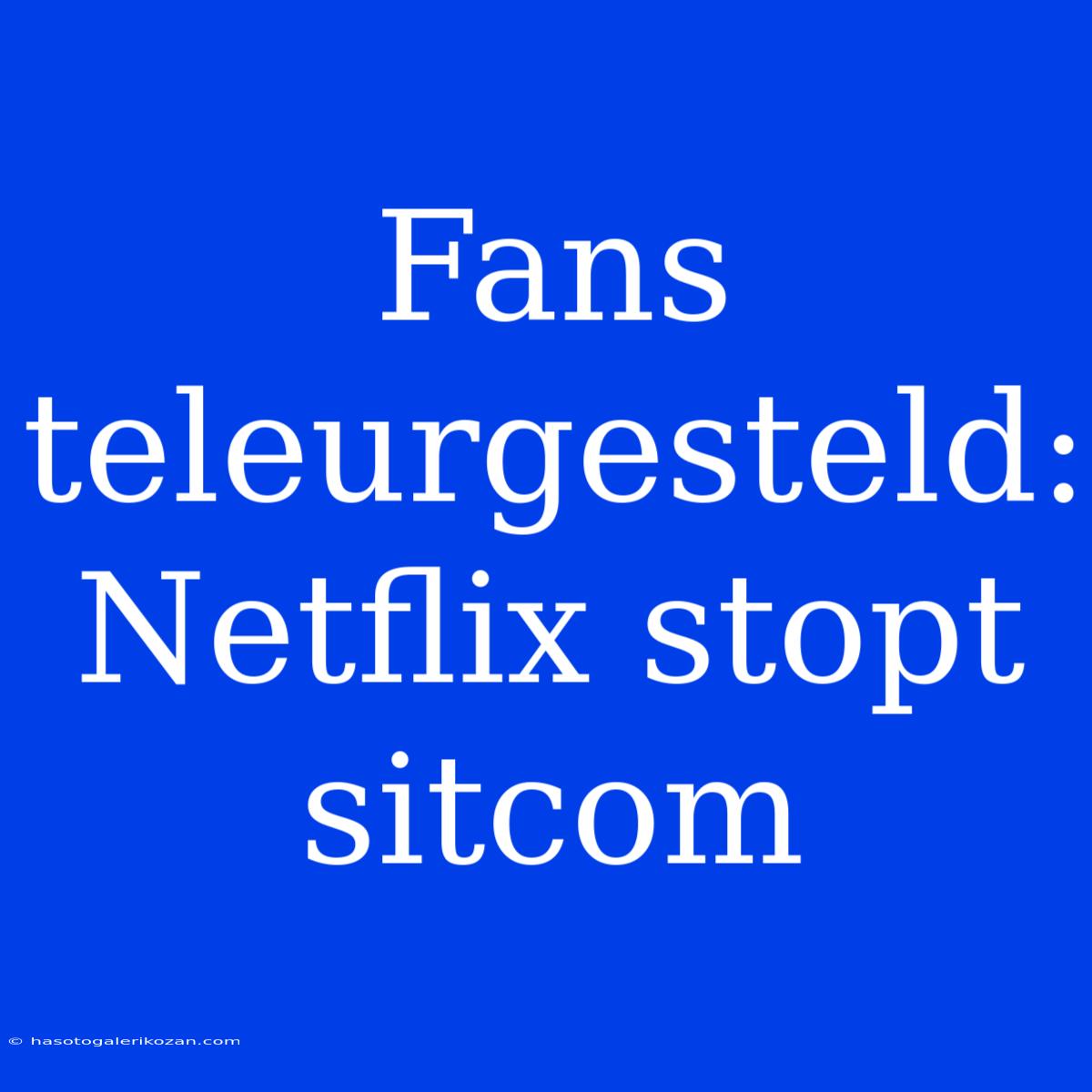 Fans Teleurgesteld: Netflix Stopt Sitcom