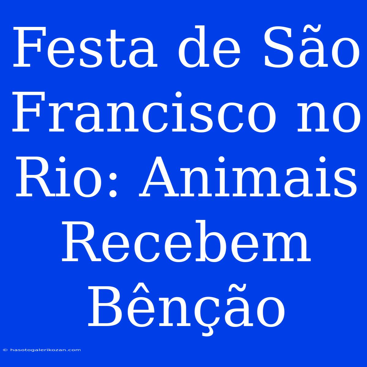 Festa De São Francisco No Rio: Animais Recebem Bênção