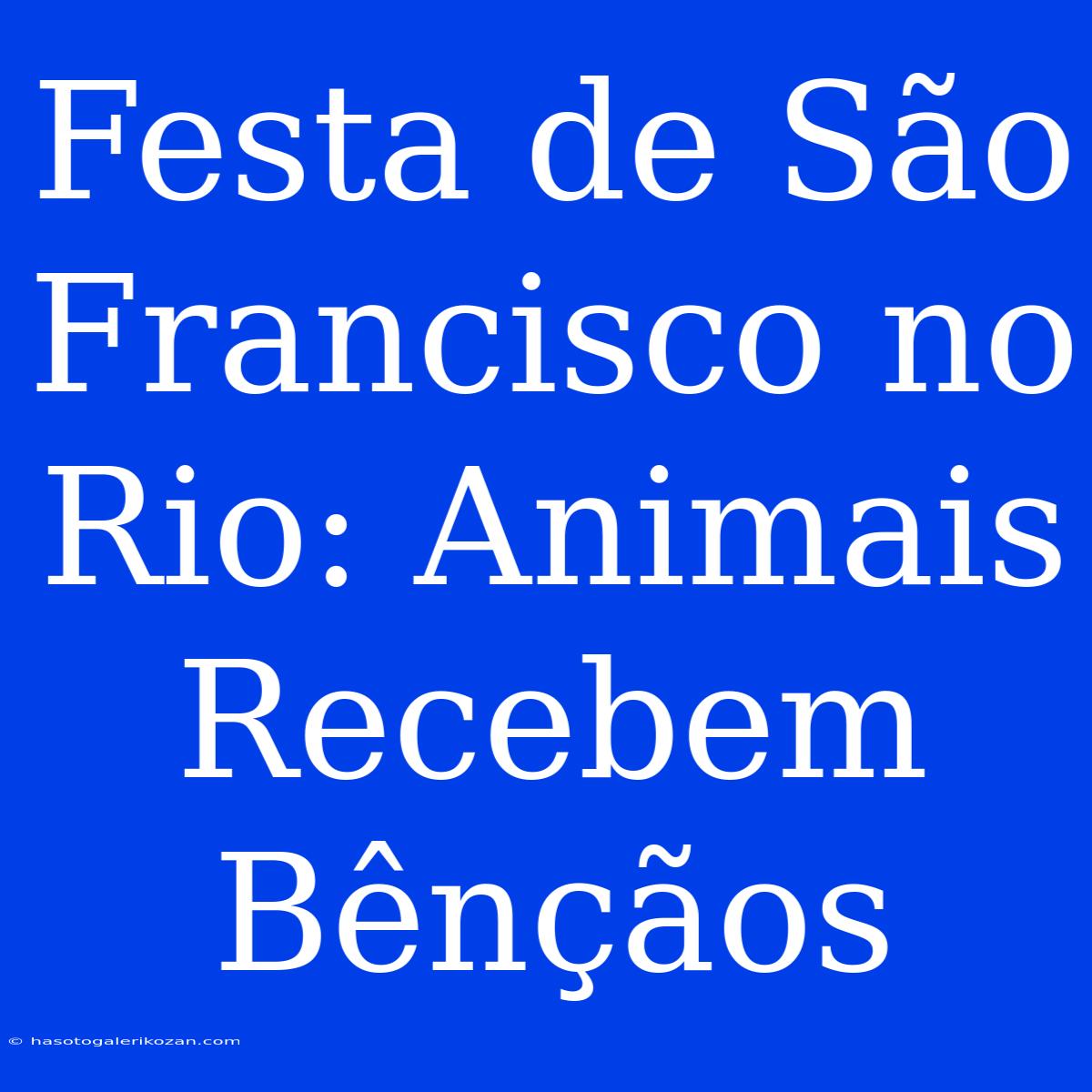 Festa De São Francisco No Rio: Animais Recebem Bênçãos