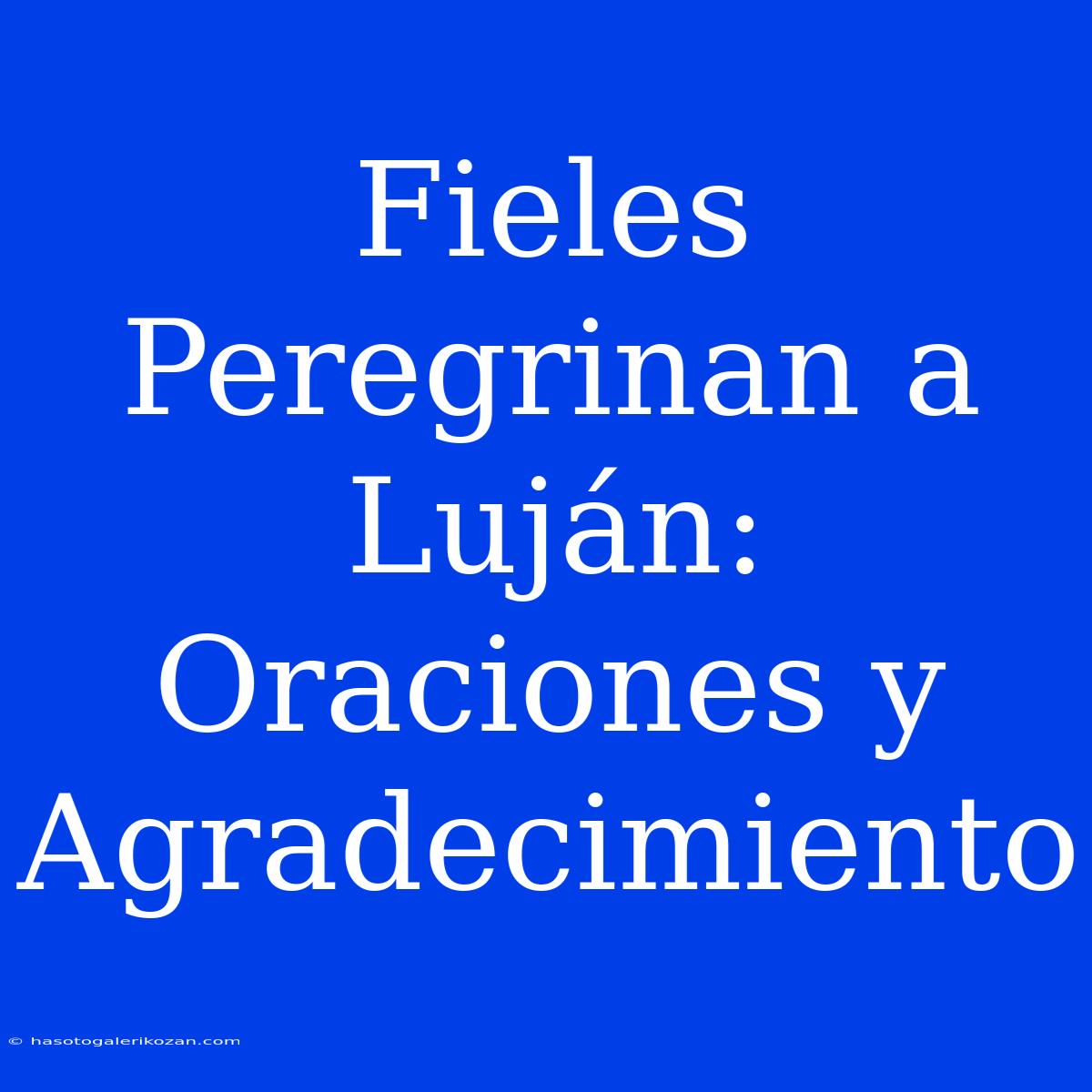 Fieles Peregrinan A Luján: Oraciones Y Agradecimiento