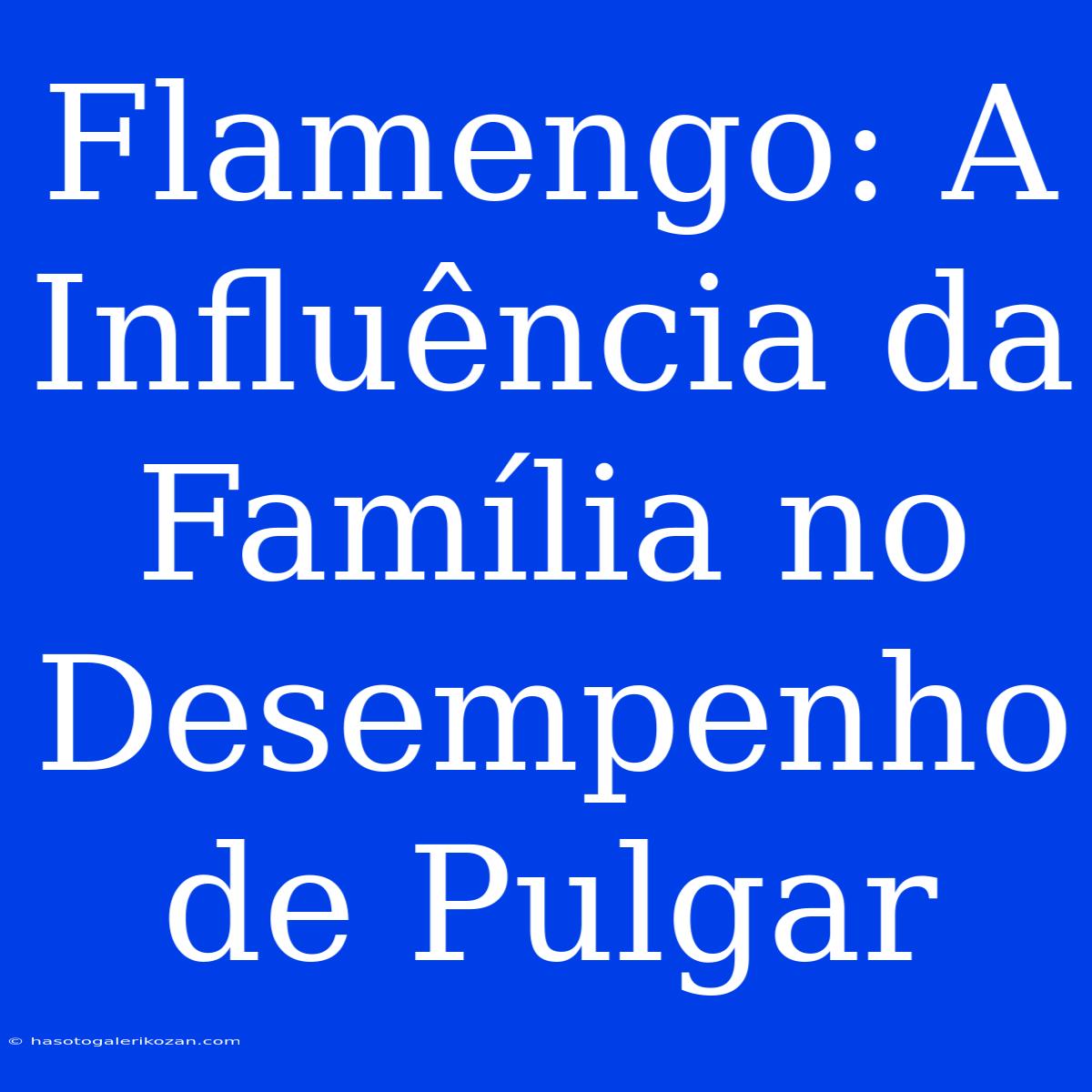 Flamengo: A Influência Da Família No Desempenho De Pulgar 