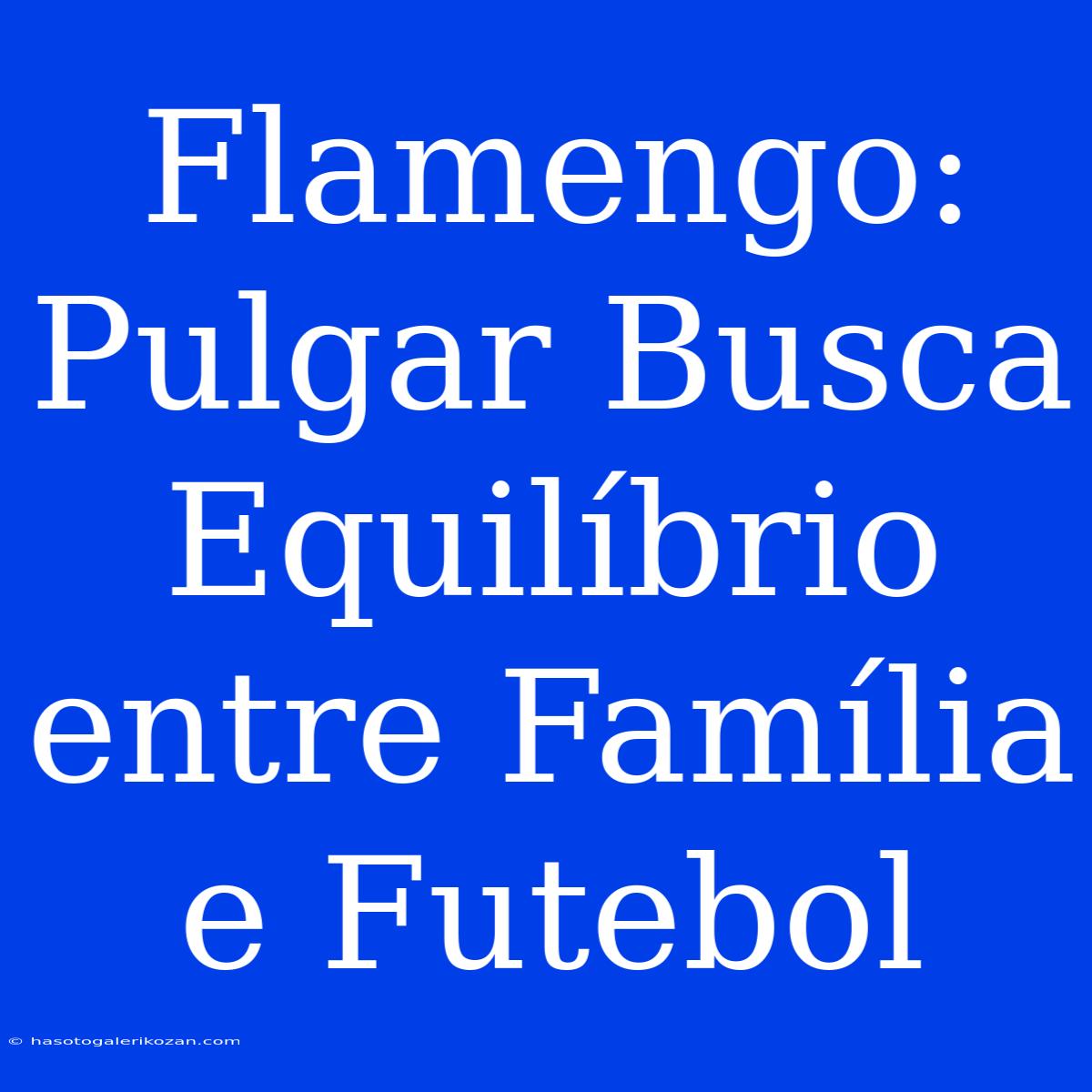 Flamengo: Pulgar Busca Equilíbrio Entre Família E Futebol