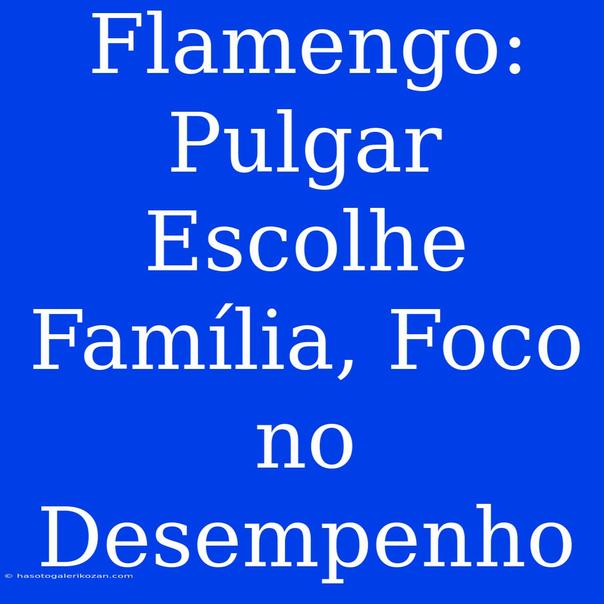 Flamengo: Pulgar Escolhe Família, Foco No Desempenho