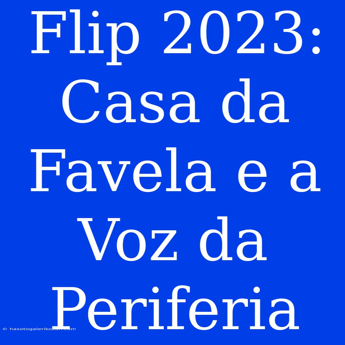 Flip 2023: Casa Da Favela E A Voz Da Periferia