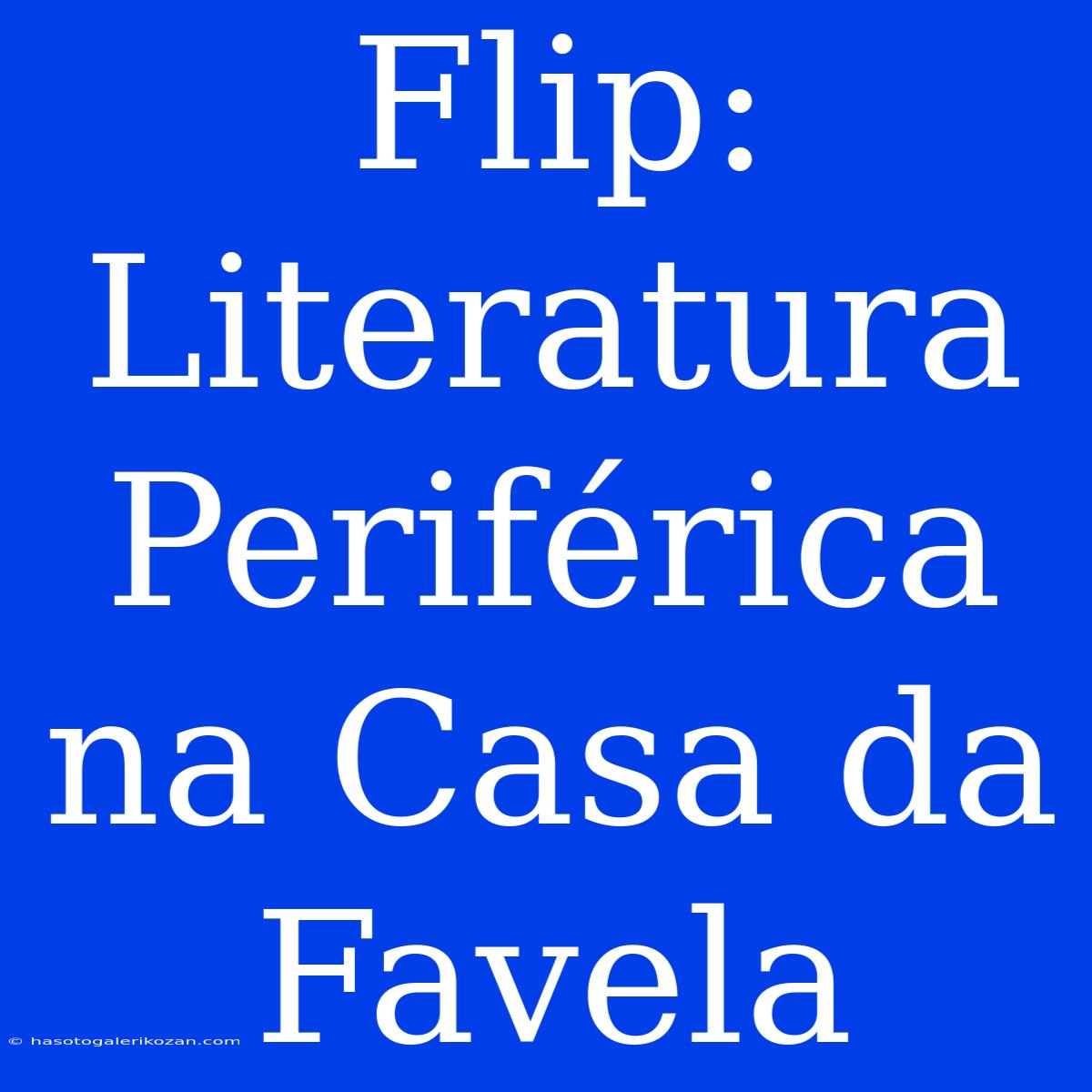 Flip: Literatura Periférica Na Casa Da Favela