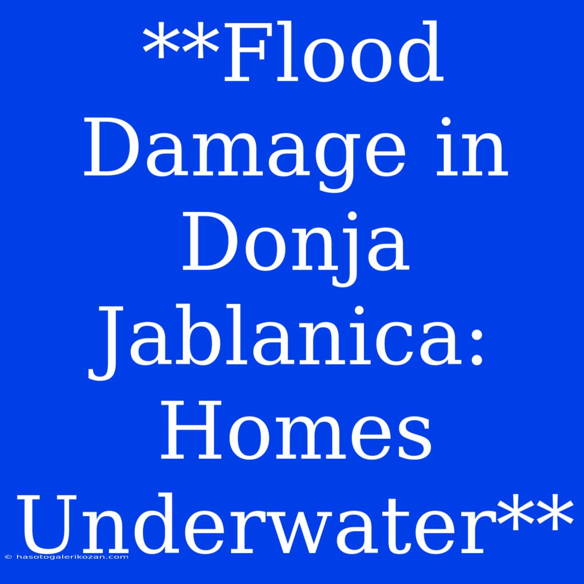 **Flood Damage In Donja Jablanica: Homes Underwater**