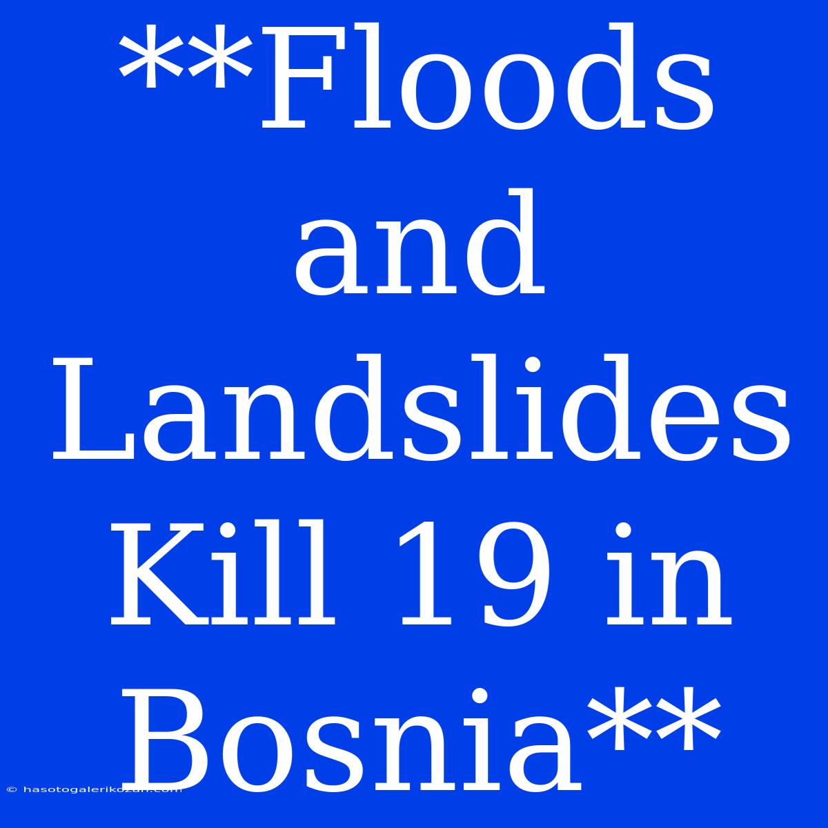 **Floods And Landslides Kill 19 In Bosnia**