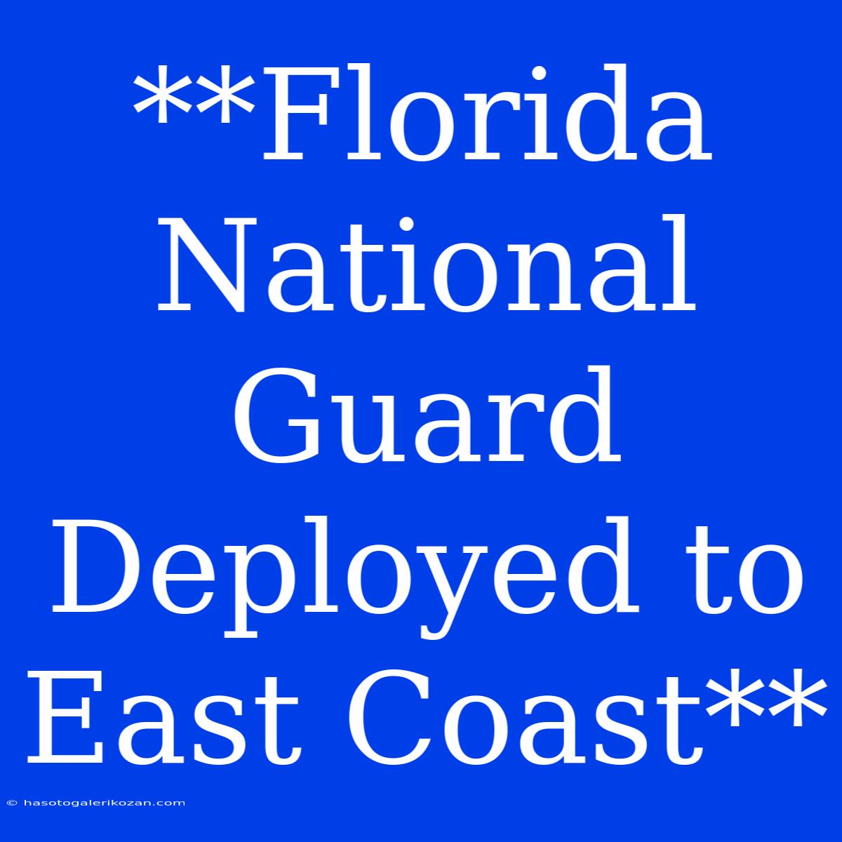 **Florida National Guard Deployed To East Coast**