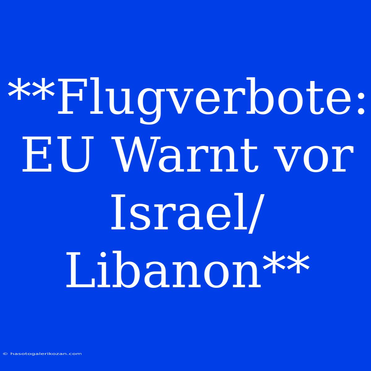 **Flugverbote: EU Warnt Vor Israel/Libanon**