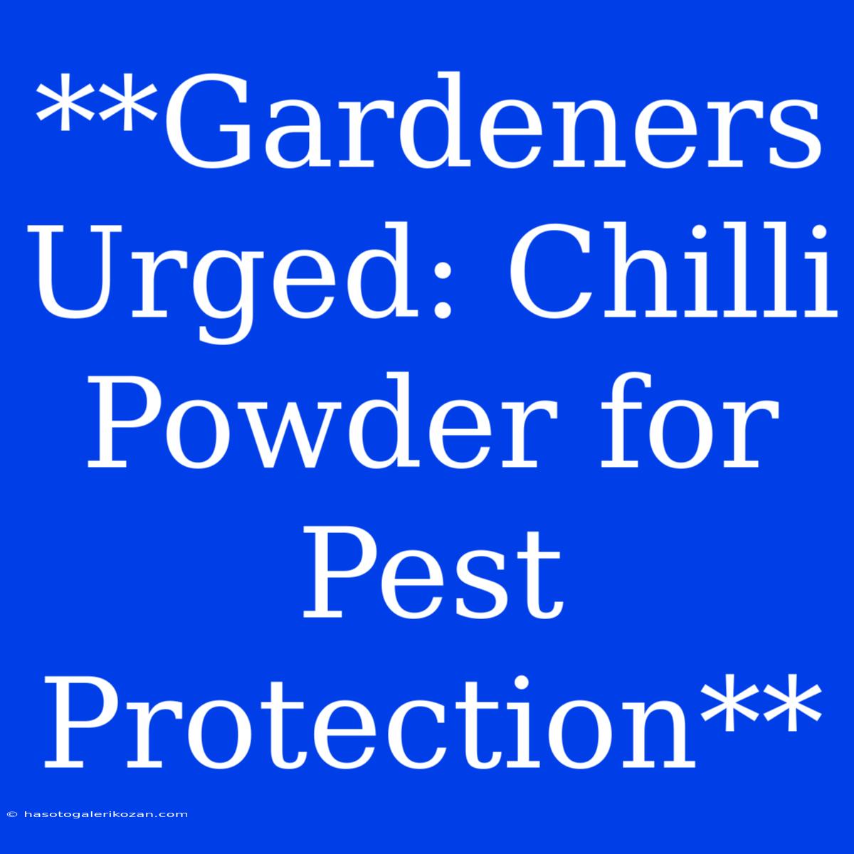 **Gardeners Urged: Chilli Powder For Pest Protection**