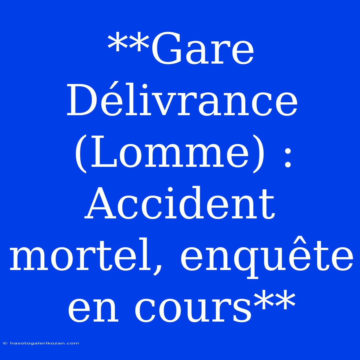 **Gare Délivrance (Lomme) : Accident Mortel, Enquête En Cours**