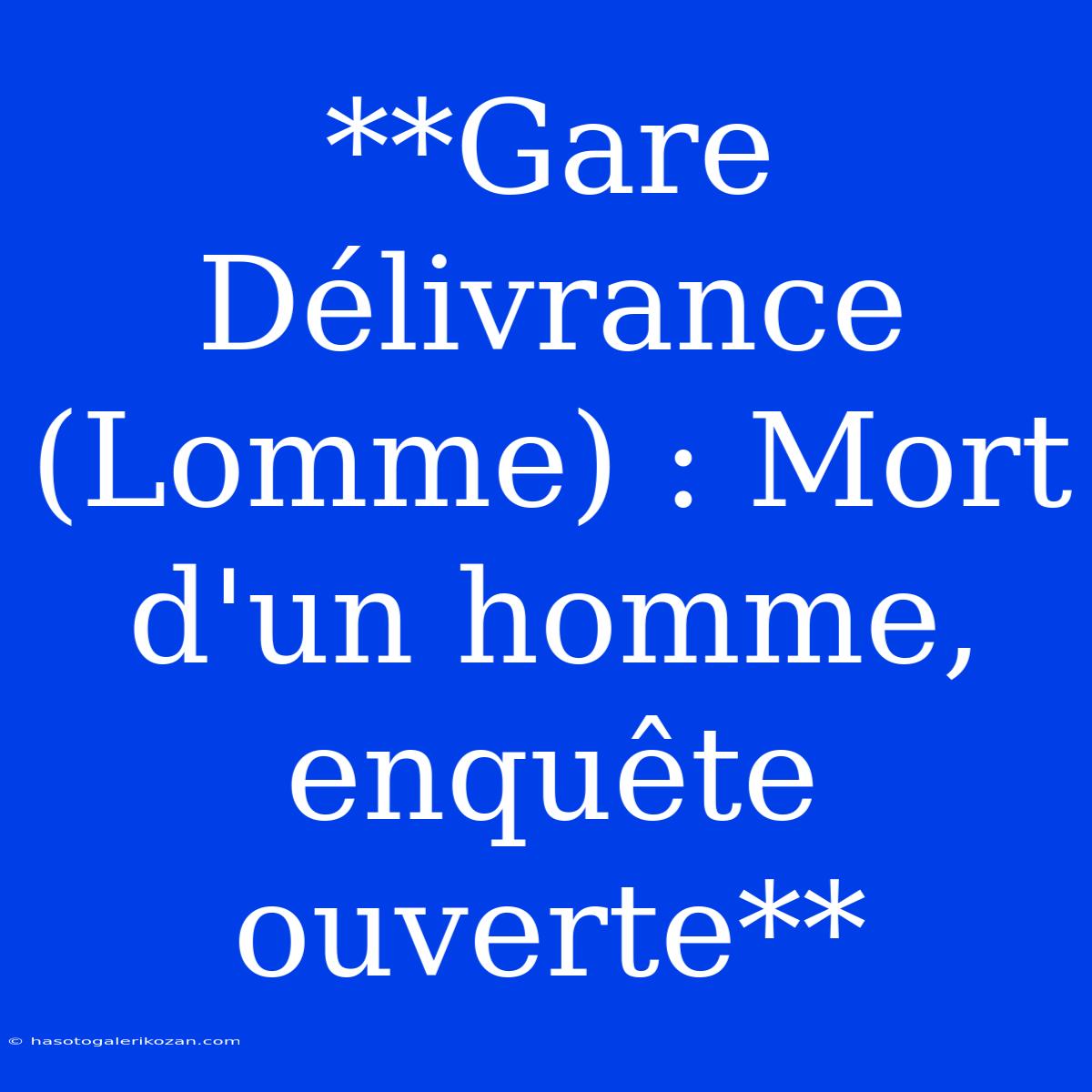 **Gare Délivrance (Lomme) : Mort D'un Homme, Enquête Ouverte**