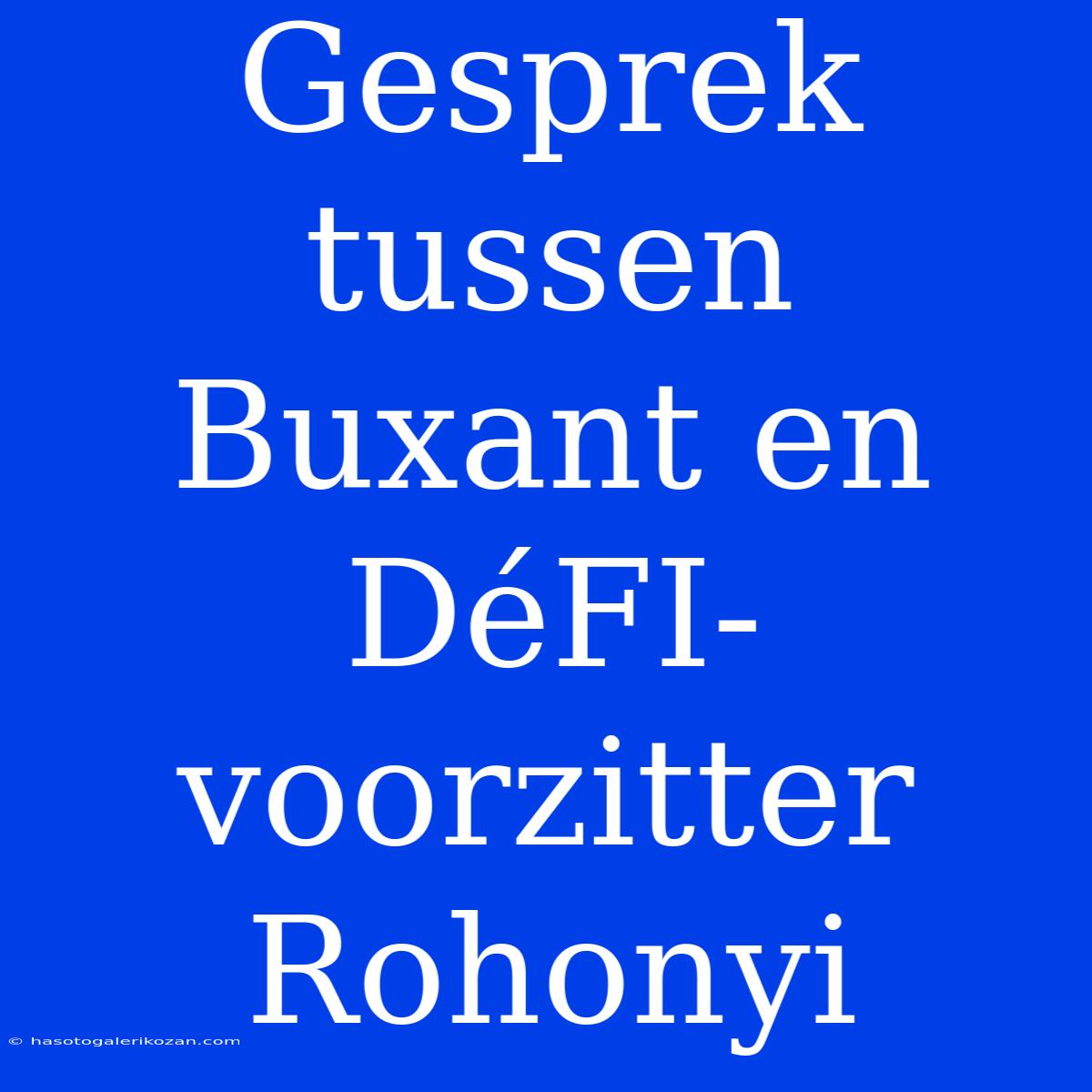 Gesprek Tussen Buxant En DéFI-voorzitter Rohonyi