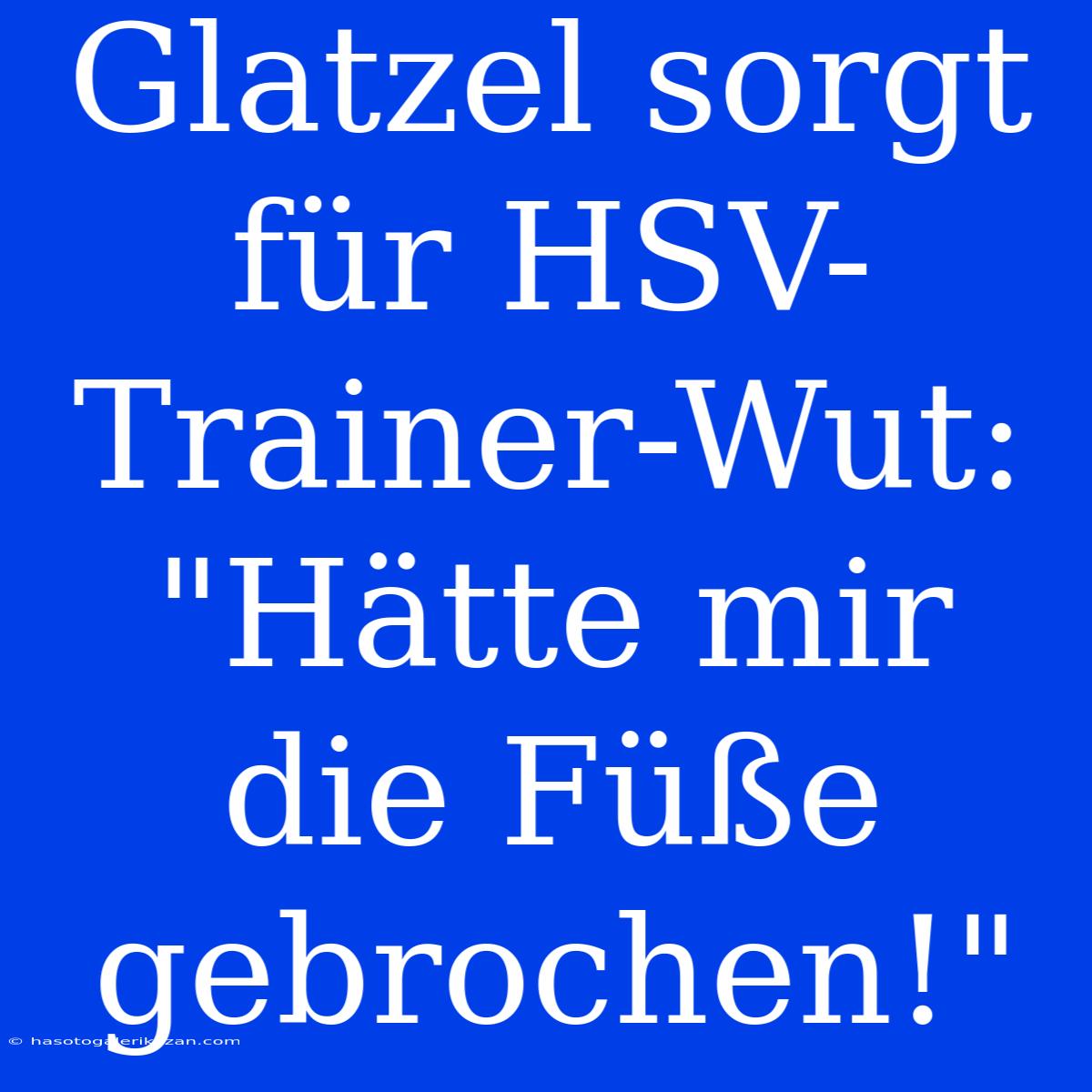 Glatzel Sorgt Für HSV-Trainer-Wut: 