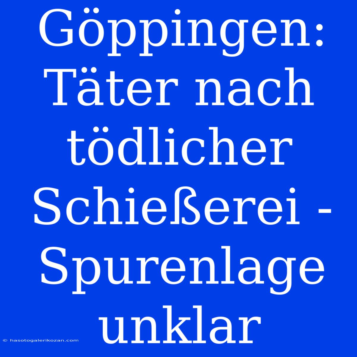 Göppingen: Täter Nach Tödlicher Schießerei - Spurenlage Unklar