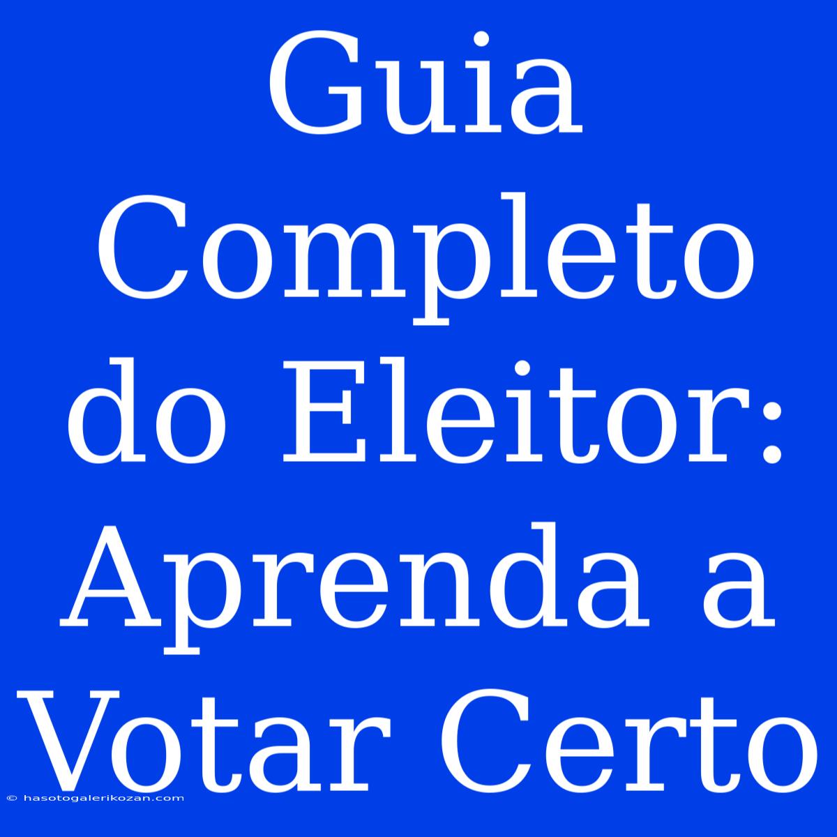 Guia Completo Do Eleitor: Aprenda A Votar Certo