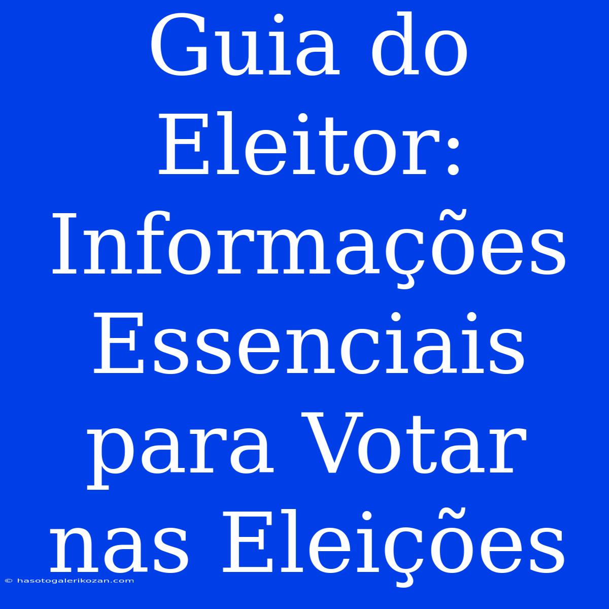 Guia Do Eleitor: Informações Essenciais Para Votar Nas Eleições 