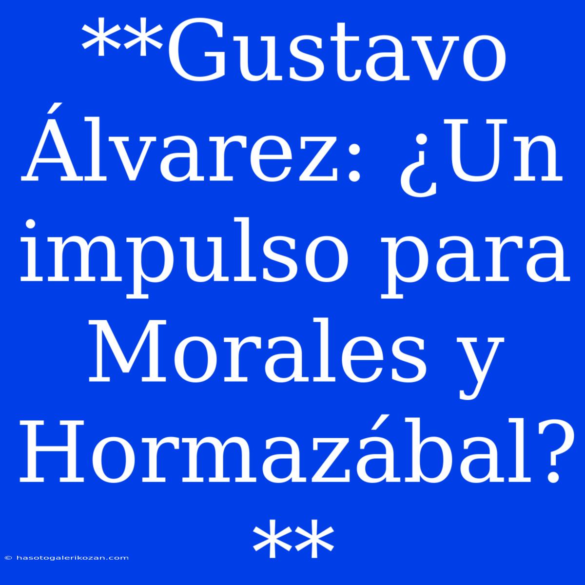 **Gustavo Álvarez: ¿Un Impulso Para Morales Y Hormazábal?**