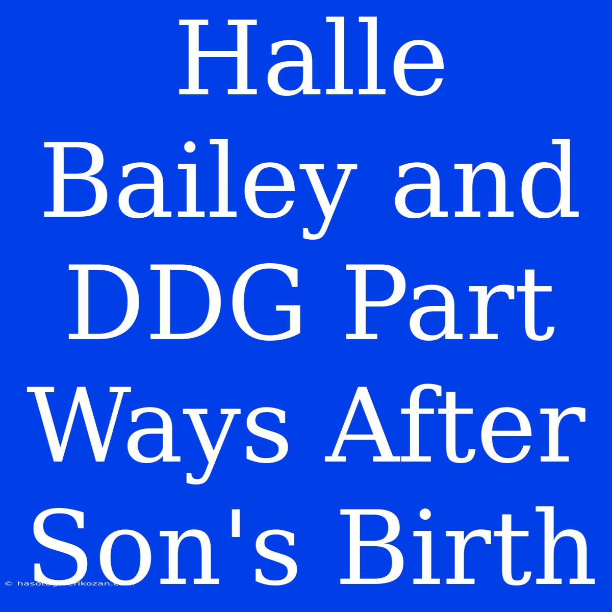 Halle Bailey And DDG Part Ways After Son's Birth