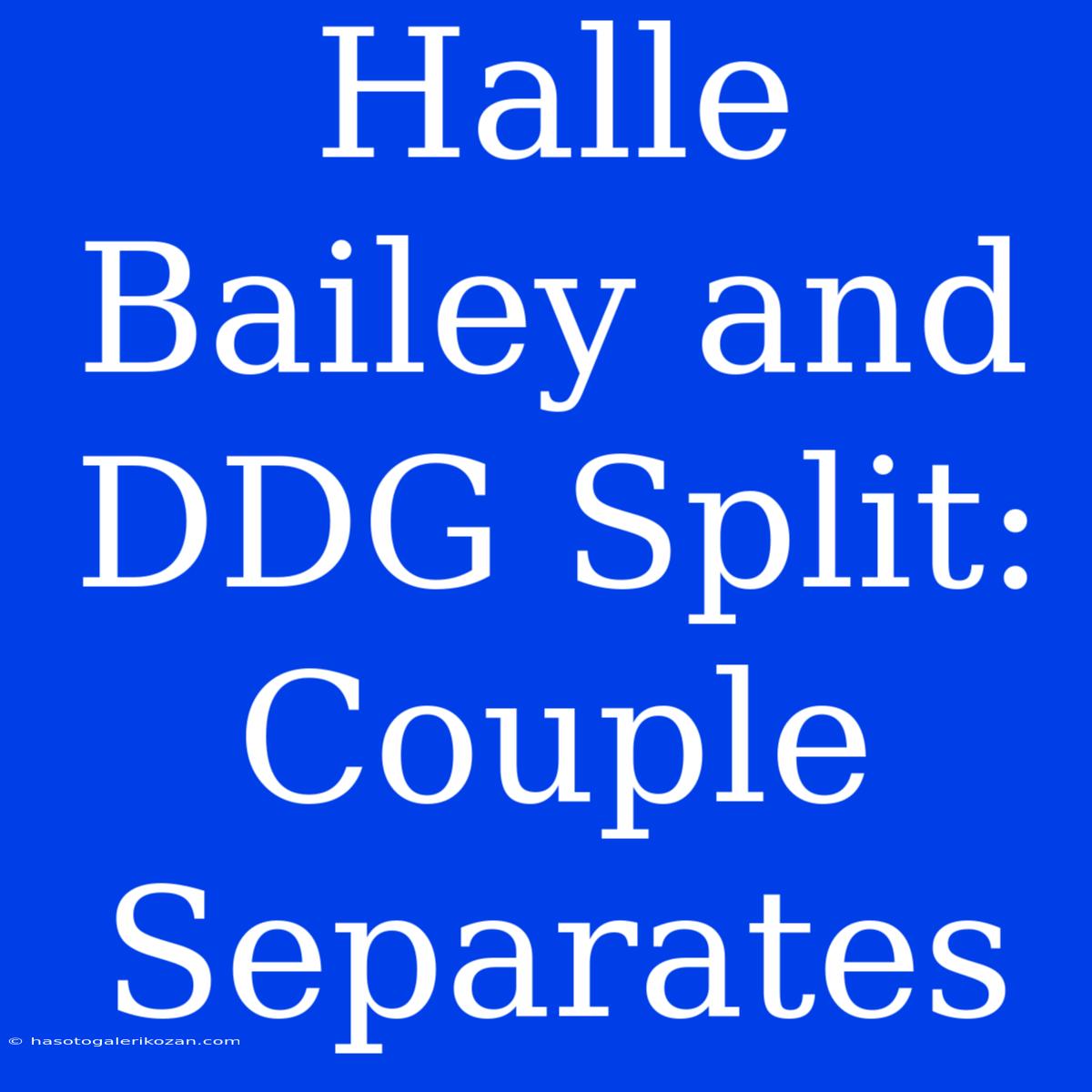 Halle Bailey And DDG Split: Couple Separates