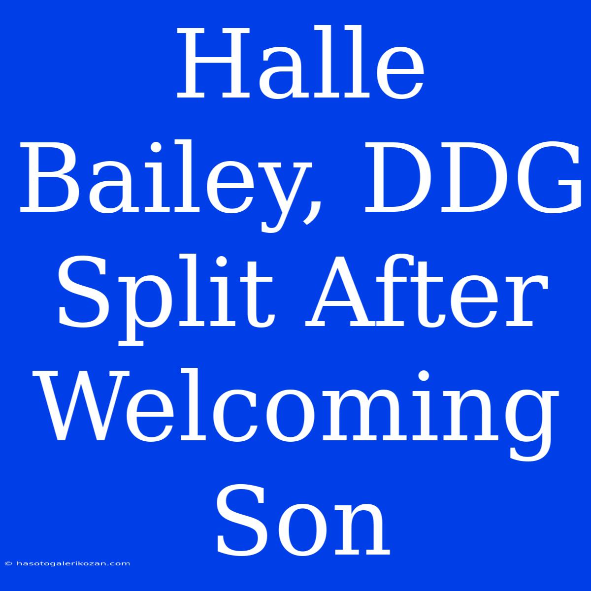 Halle Bailey, DDG Split After Welcoming Son