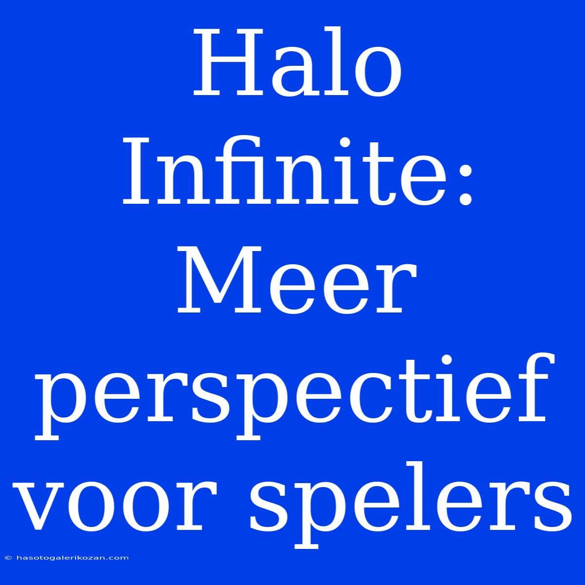 Halo Infinite: Meer Perspectief Voor Spelers