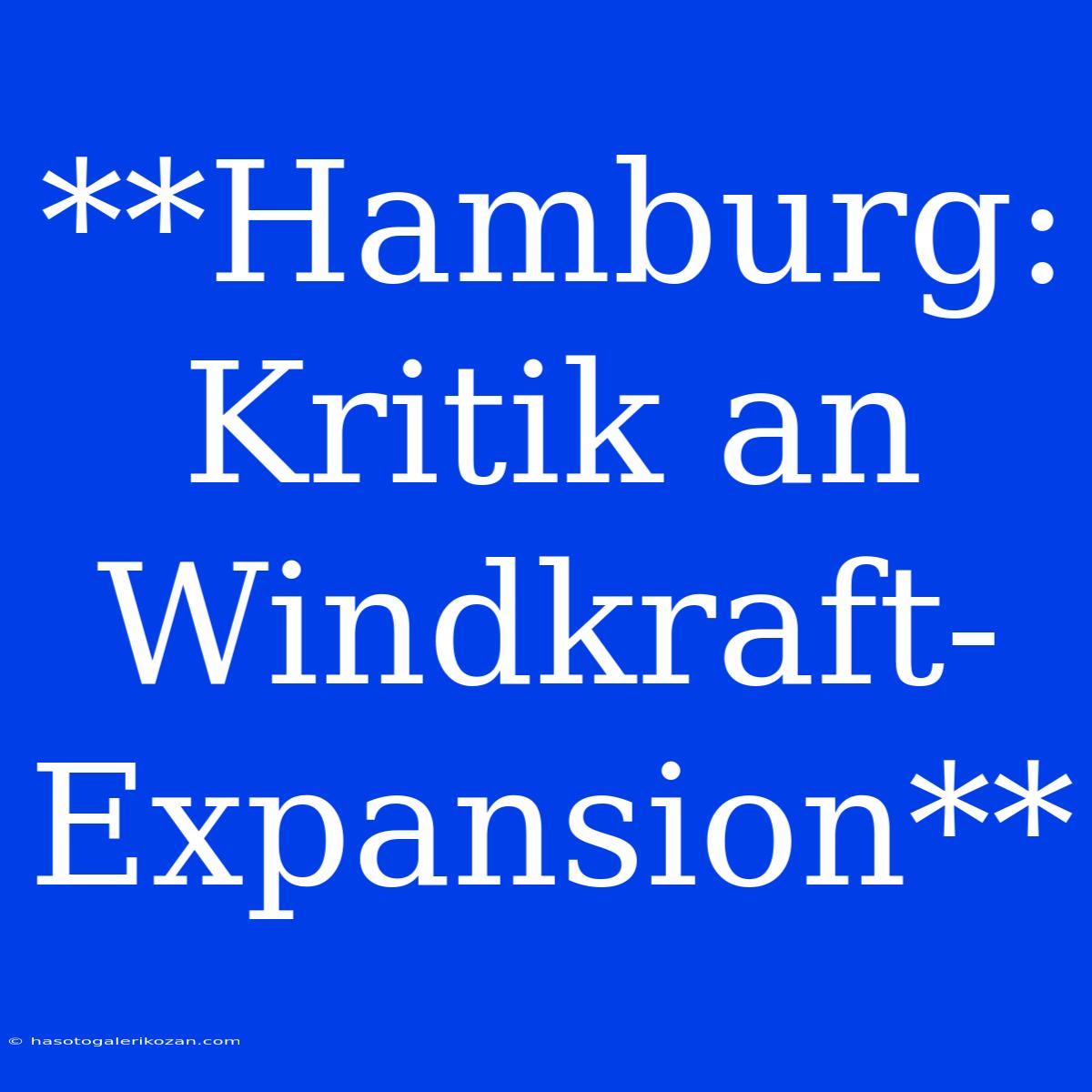 **Hamburg: Kritik An Windkraft-Expansion**