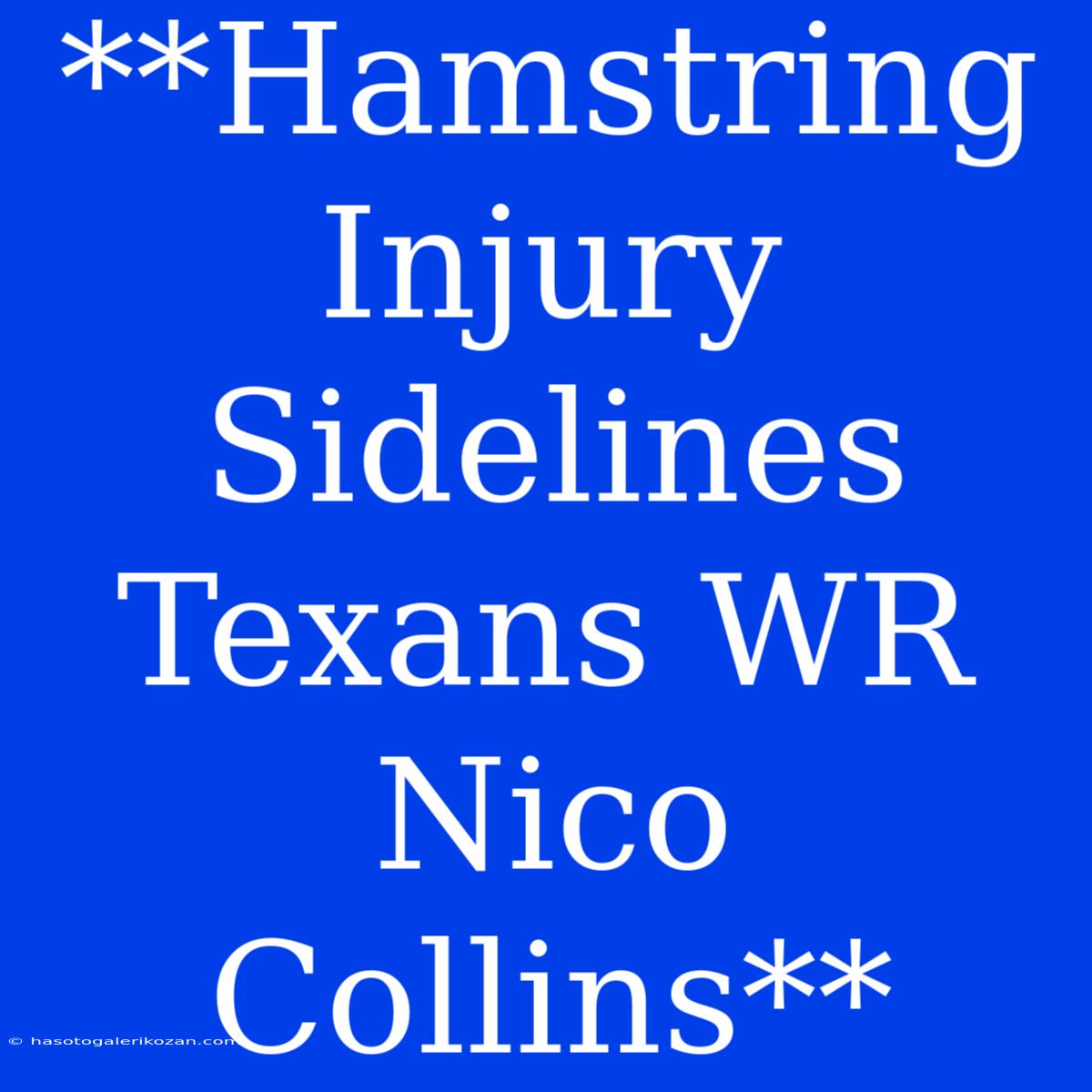 **Hamstring Injury Sidelines Texans WR Nico Collins**