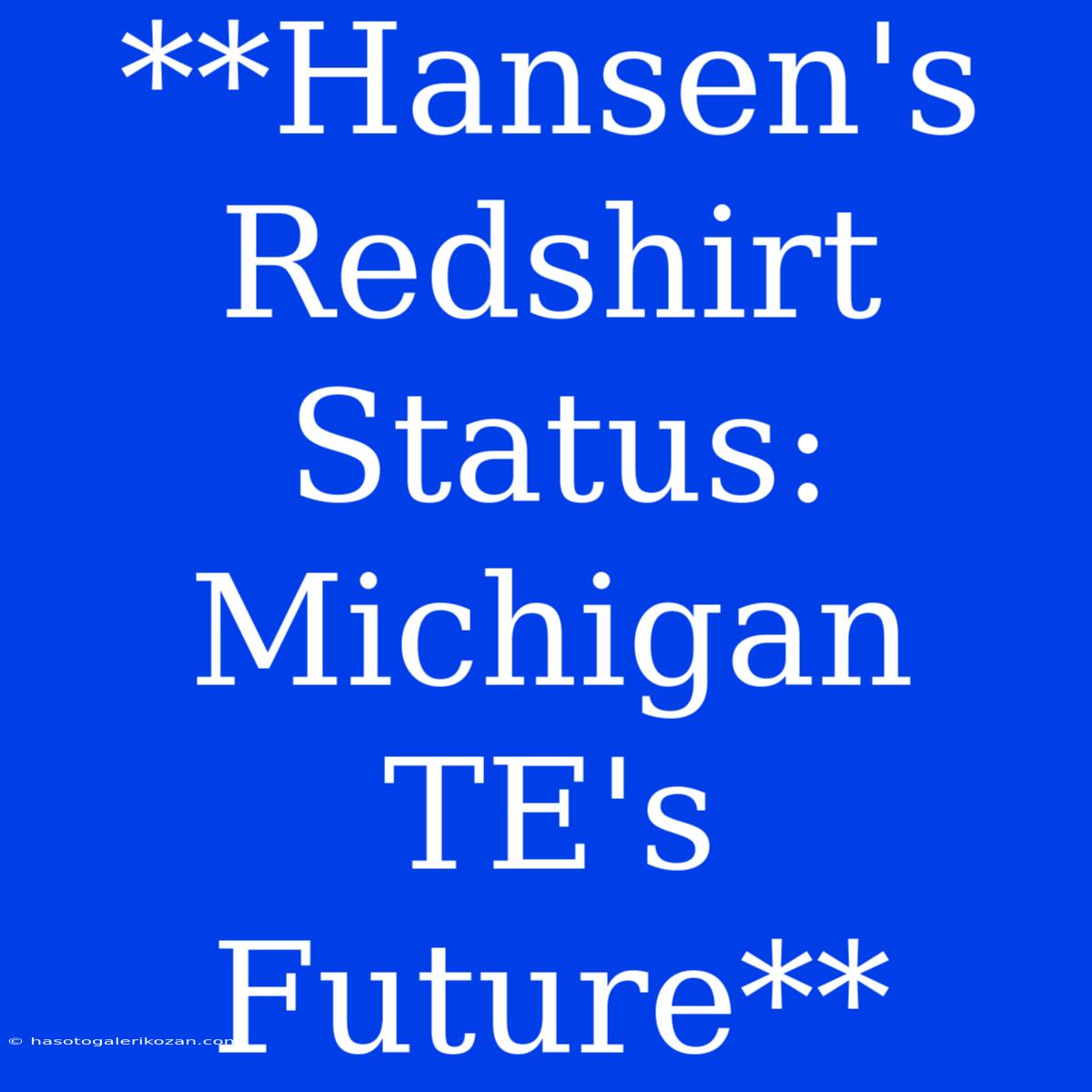 **Hansen's Redshirt Status: Michigan TE's Future**