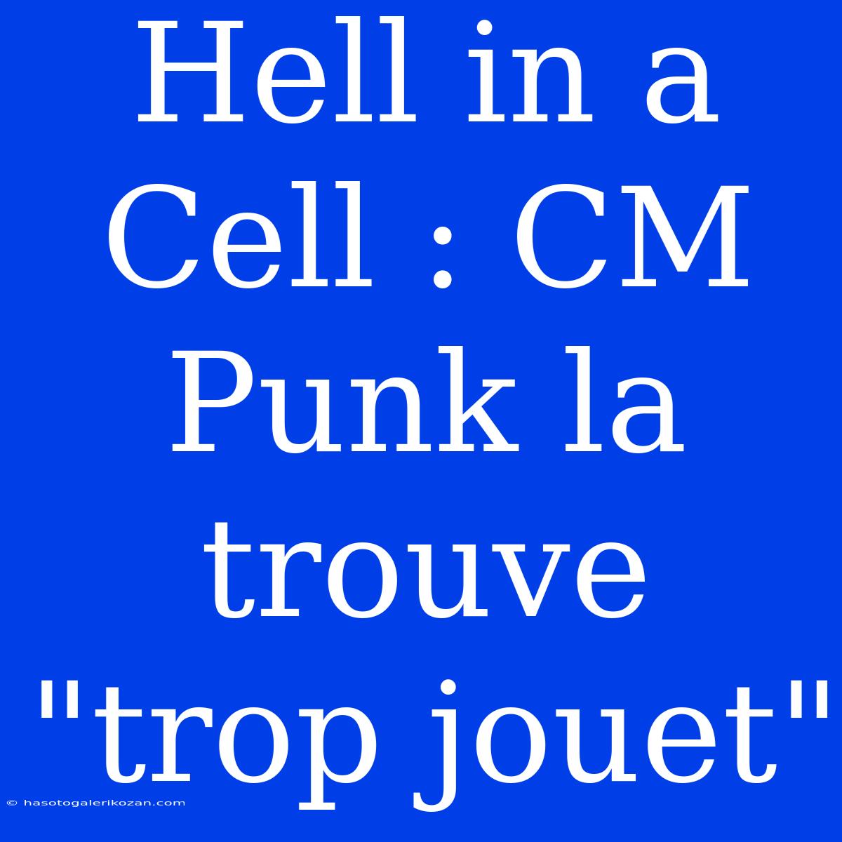 Hell In A Cell : CM Punk La Trouve 