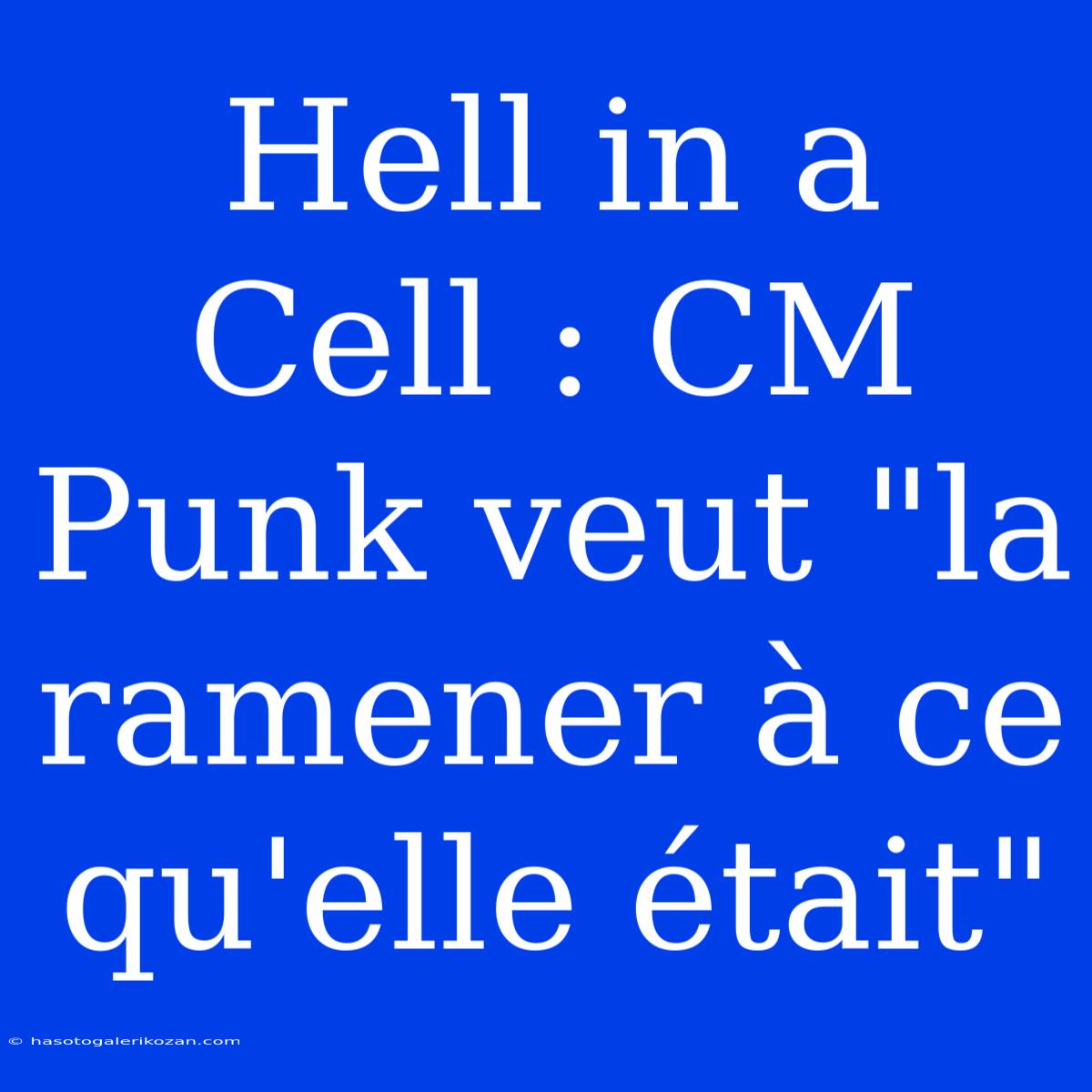 Hell In A Cell : CM Punk Veut 