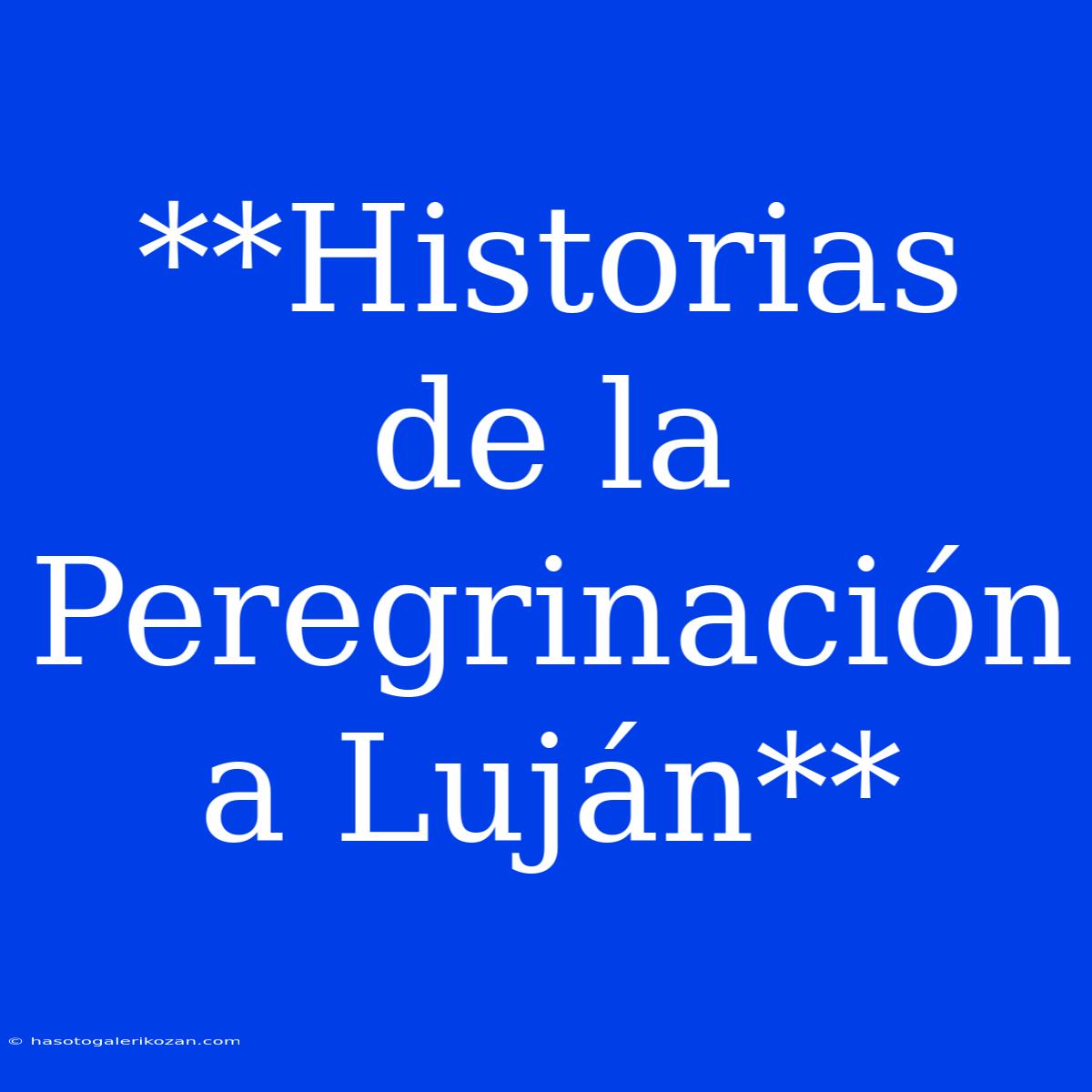 **Historias De La Peregrinación A Luján**