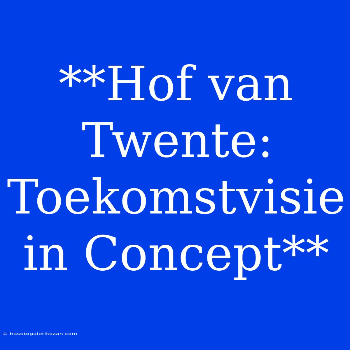 **Hof Van Twente: Toekomstvisie In Concept**