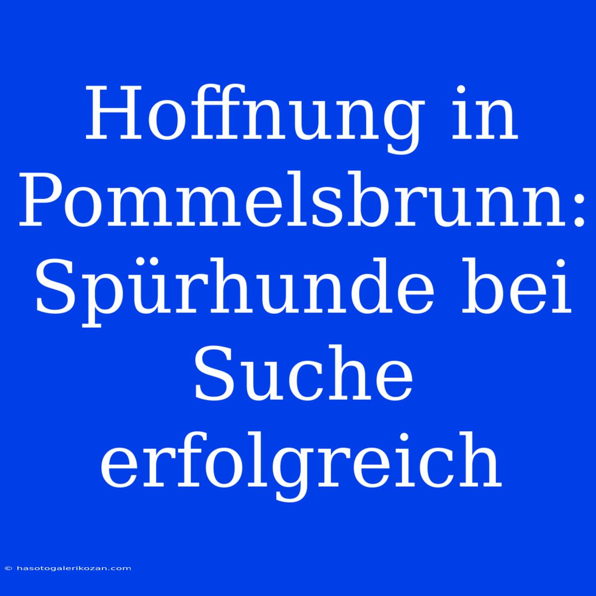 Hoffnung In Pommelsbrunn: Spürhunde Bei Suche Erfolgreich