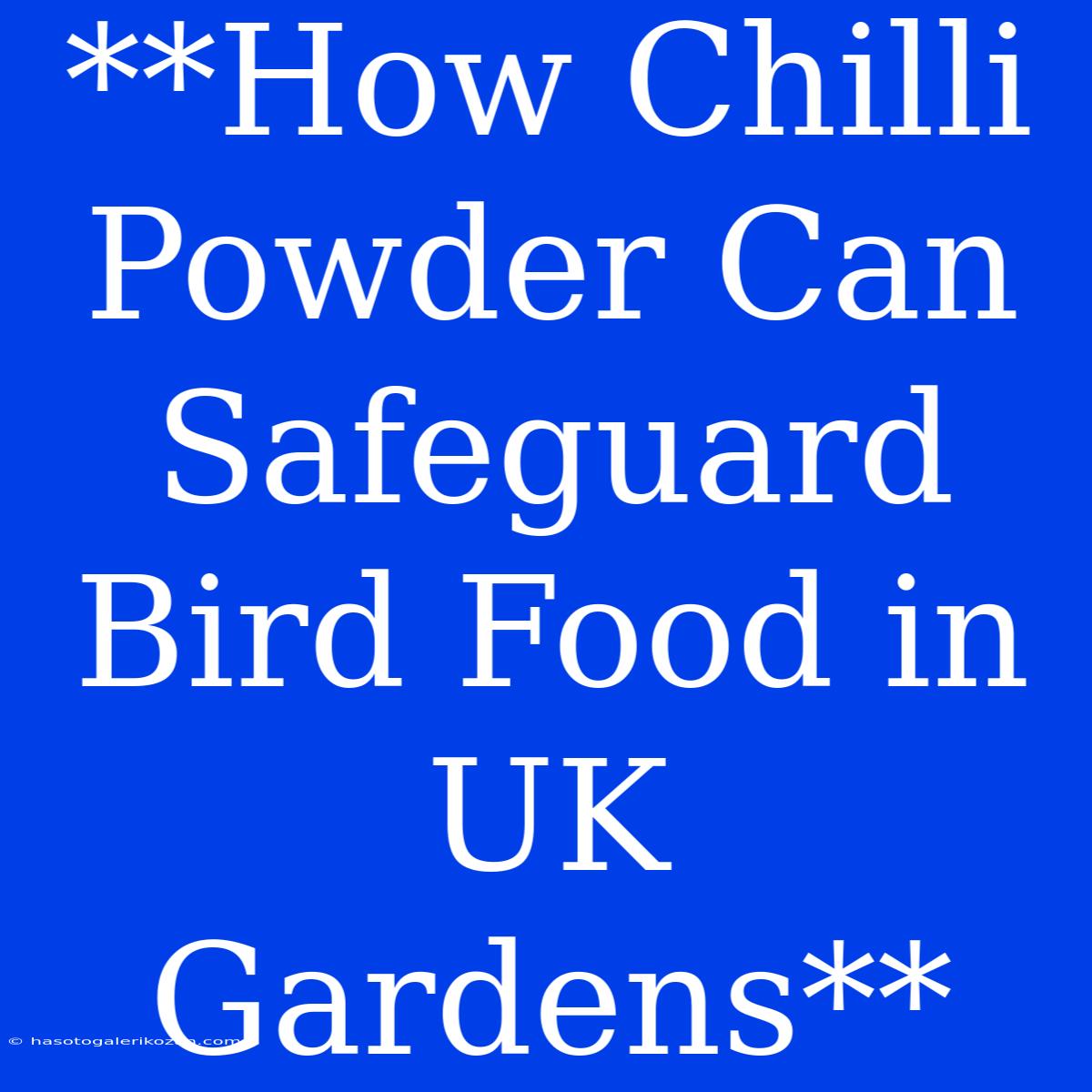 **How Chilli Powder Can Safeguard Bird Food In UK Gardens** 