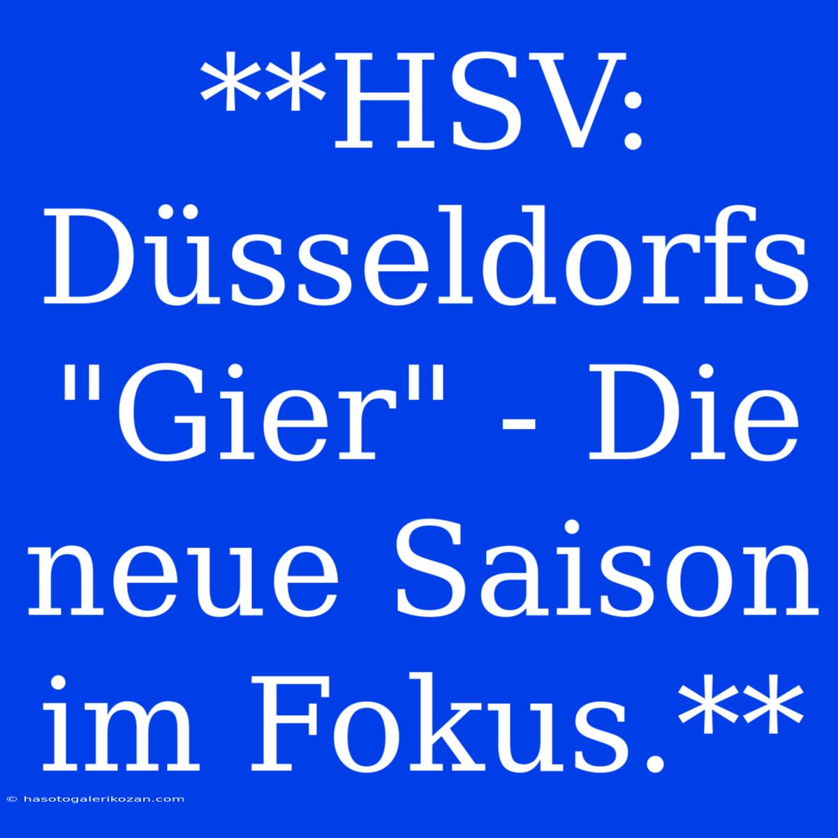 **HSV: Düsseldorfs 