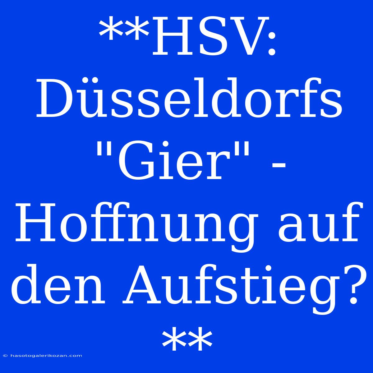 **HSV: Düsseldorfs 