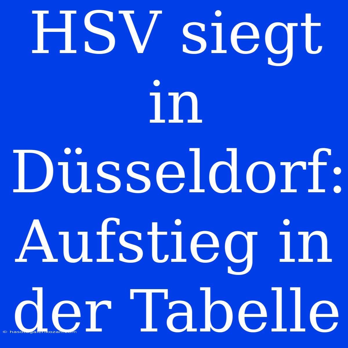 HSV Siegt In Düsseldorf: Aufstieg In Der Tabelle 