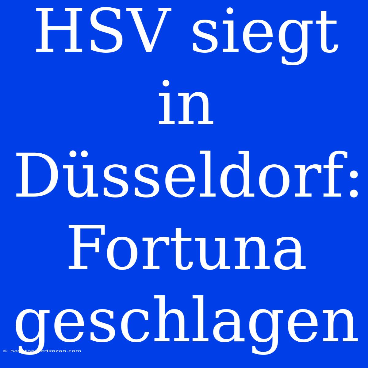 HSV Siegt In Düsseldorf: Fortuna Geschlagen