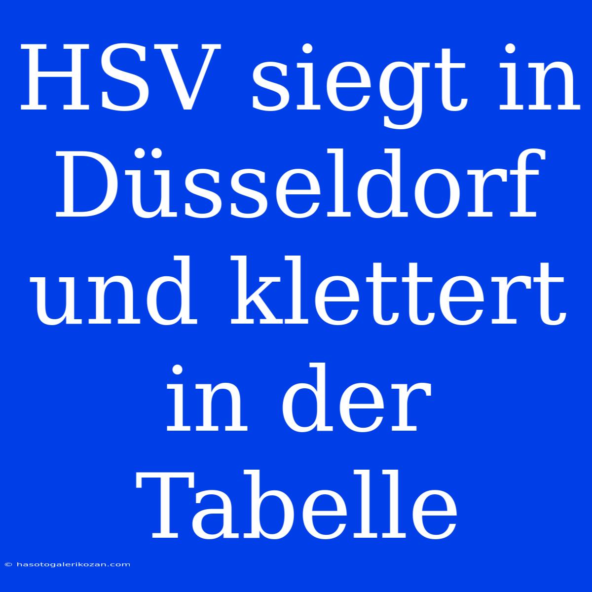 HSV Siegt In Düsseldorf Und Klettert In Der Tabelle